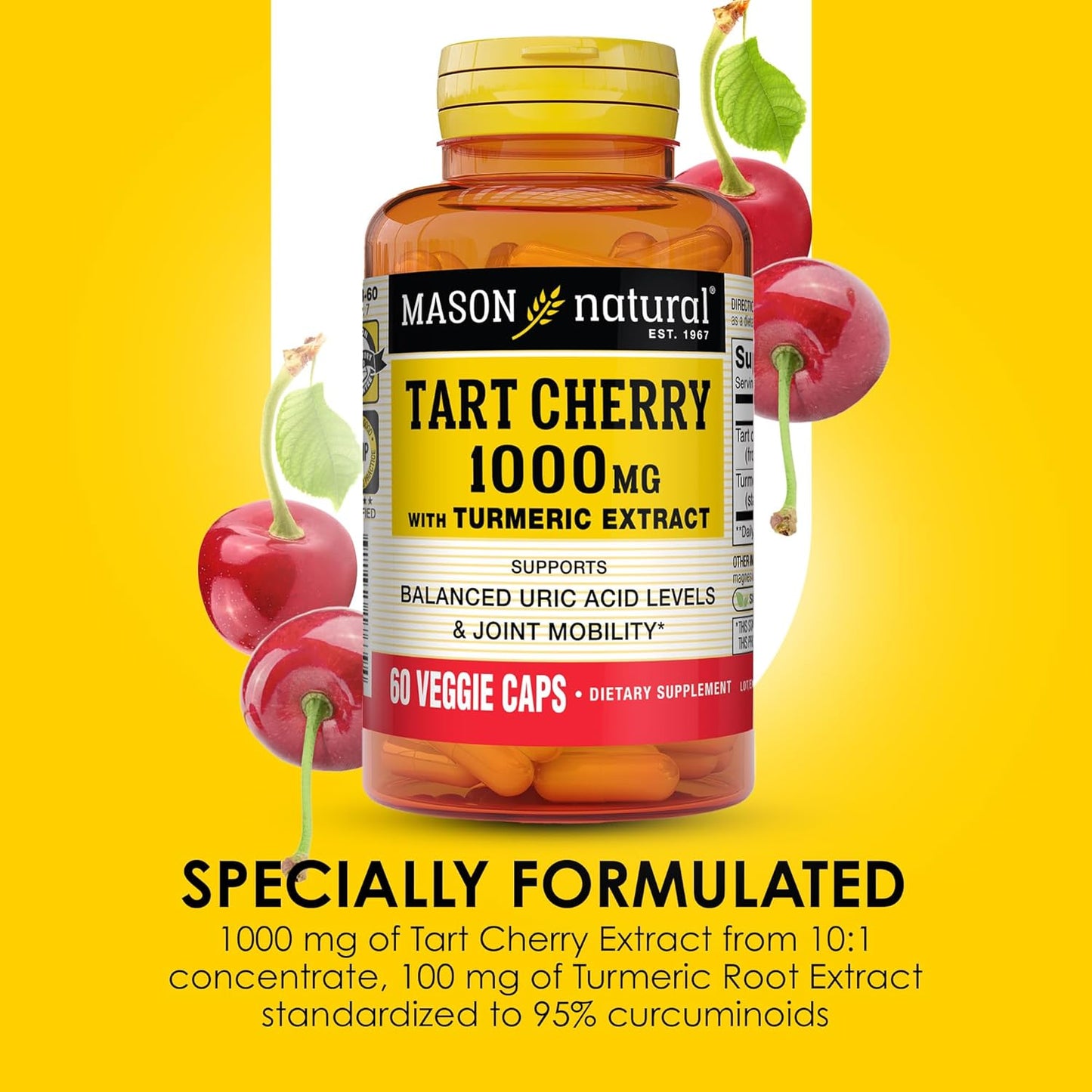 Tart Cherry Extract & Turmeric Capsules for Joint Support, 60-Day Supply by Mason Natural