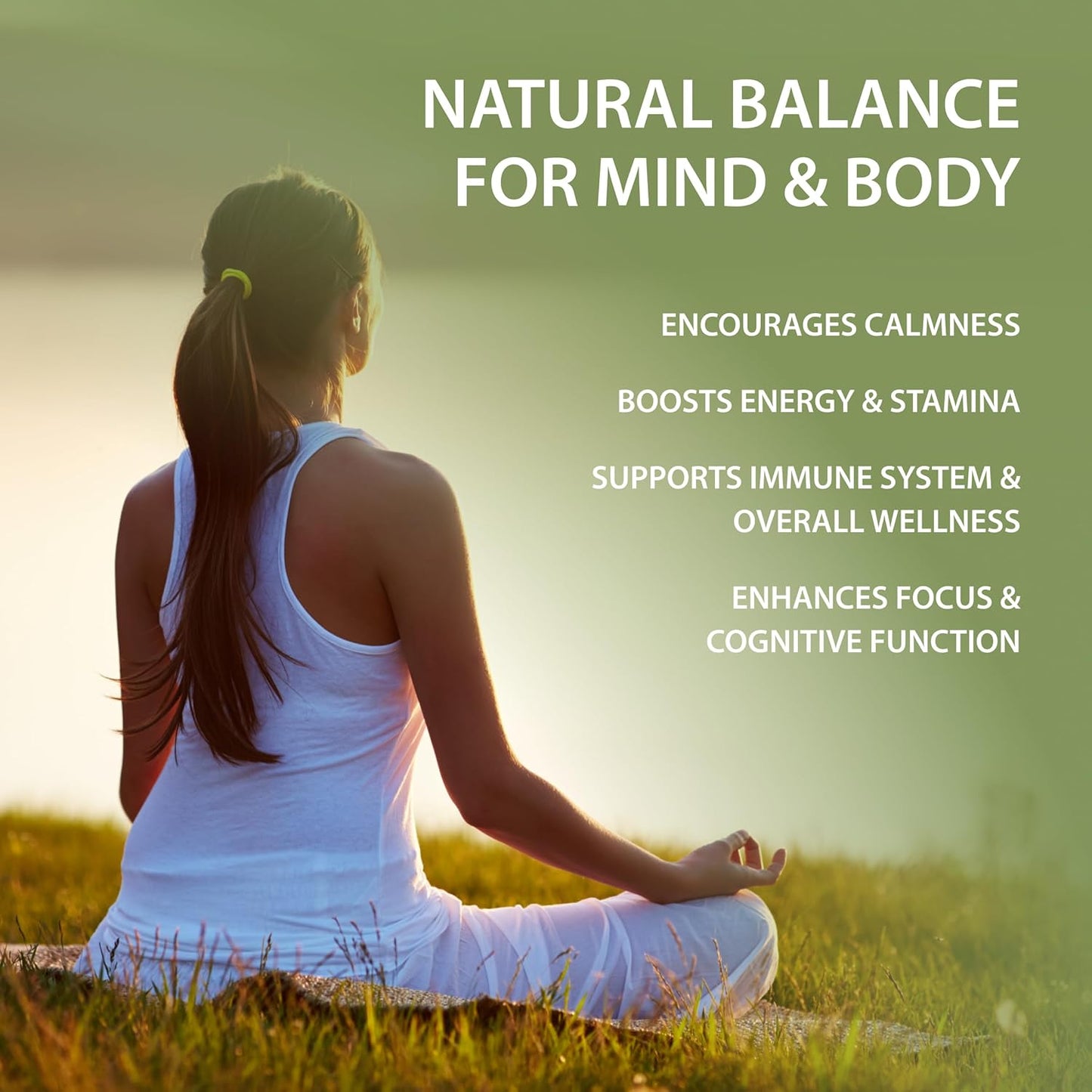 Tattva's Herbs Ashwagandha Supplements for Mood Support, Relaxation - 240 Count x 2 Pack, Herbal Powder Formula, 25 Years of Quality Service - BoostGo Australia