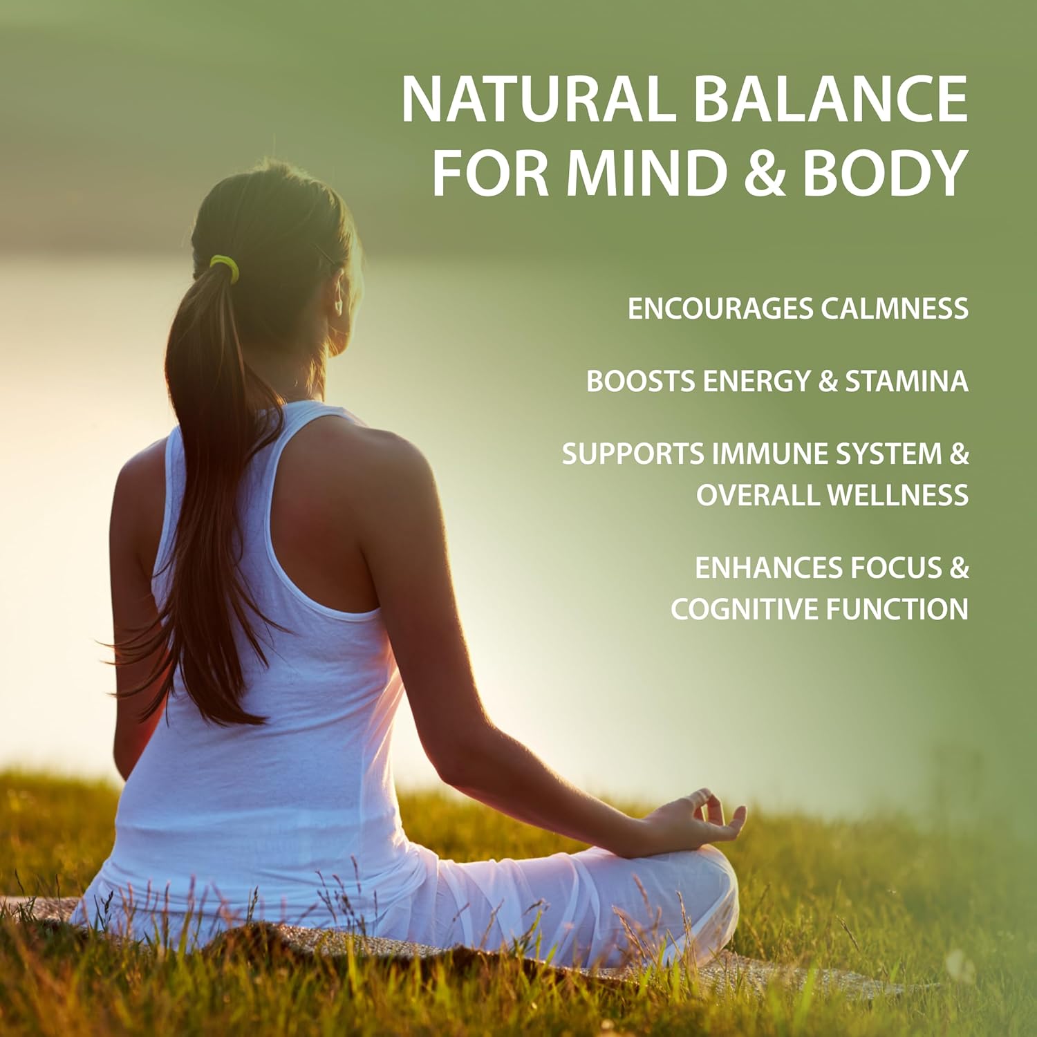 Tattva's Herbs Ashwagandha Supplements for Mood Support, Relaxation - 240 Count x 2 Pack, Herbal Powder Formula, 25 Years of Quality Service - BoostGo Australia