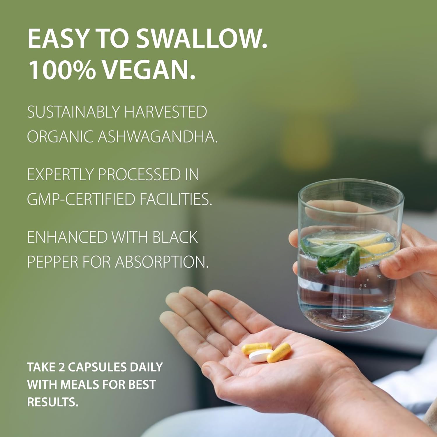 Tattva's Herbs Ashwagandha Supplements for Mood Support, Relaxation - 240 Count x 2 Pack, Herbal Powder Formula, 25 Years of Quality Service - BoostGo Australia