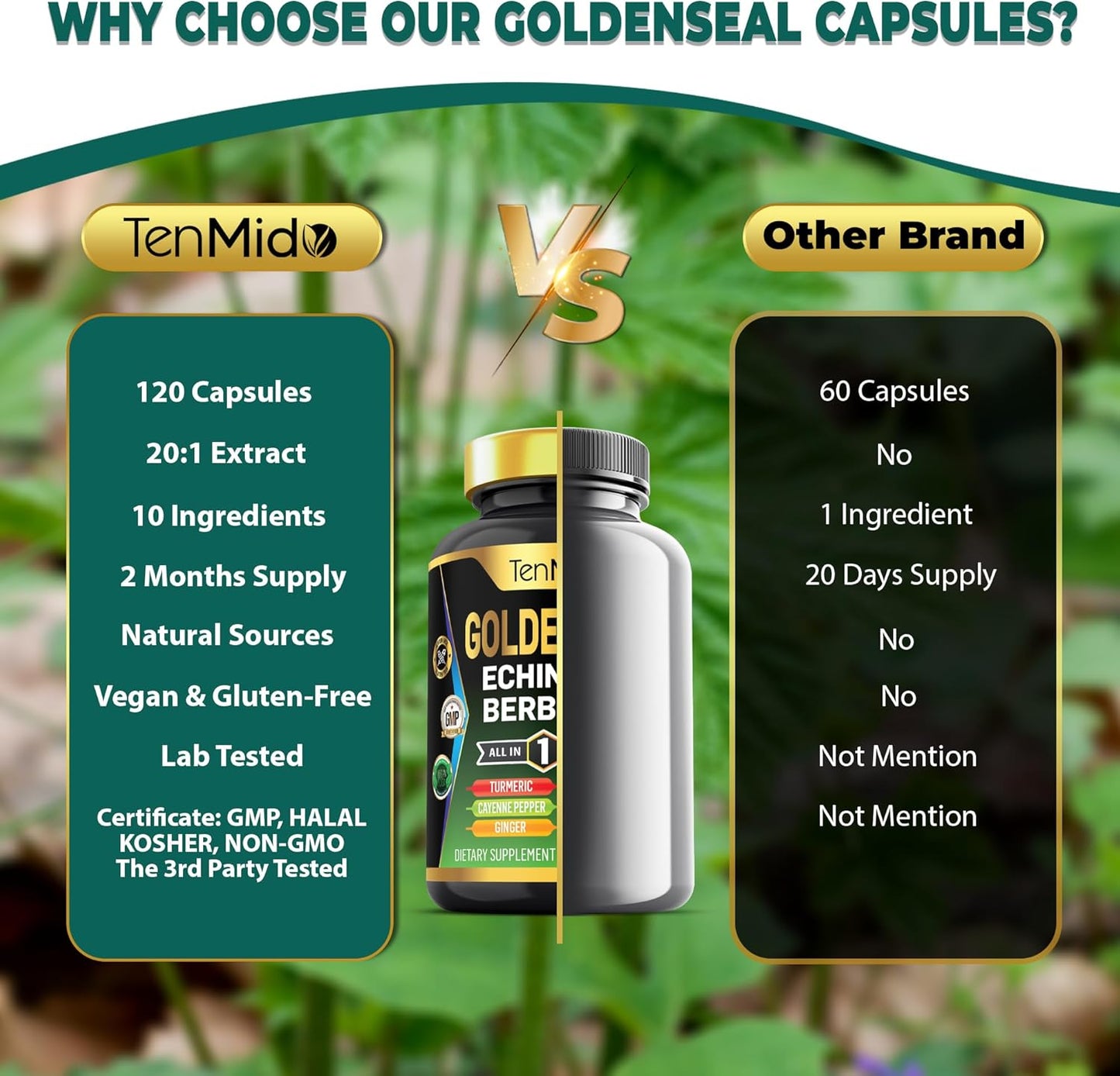 Tenmido 10in1 Goldenseal Root Supplement with Echinacea, Berberine, Turmeric, Cayenne Pepper, Ginger & More - Digestive Health Support - 120 Capsules