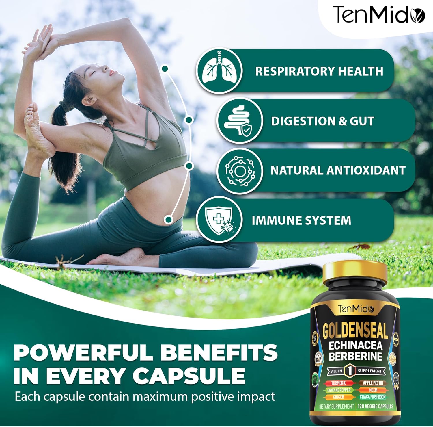 Tenmido 10in1 Goldenseal Root Supplement with Echinacea, Berberine, Turmeric, Cayenne Pepper, Ginger & More - Digestive Health Support - 120 Capsules