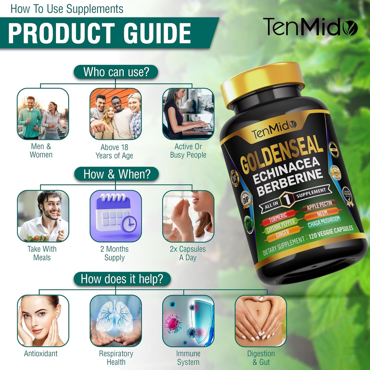 Tenmido 10in1 Goldenseal Root Supplement with Echinacea, Berberine, Turmeric, Cayenne Pepper, Ginger & More - Digestive Health Support - 120 Capsules