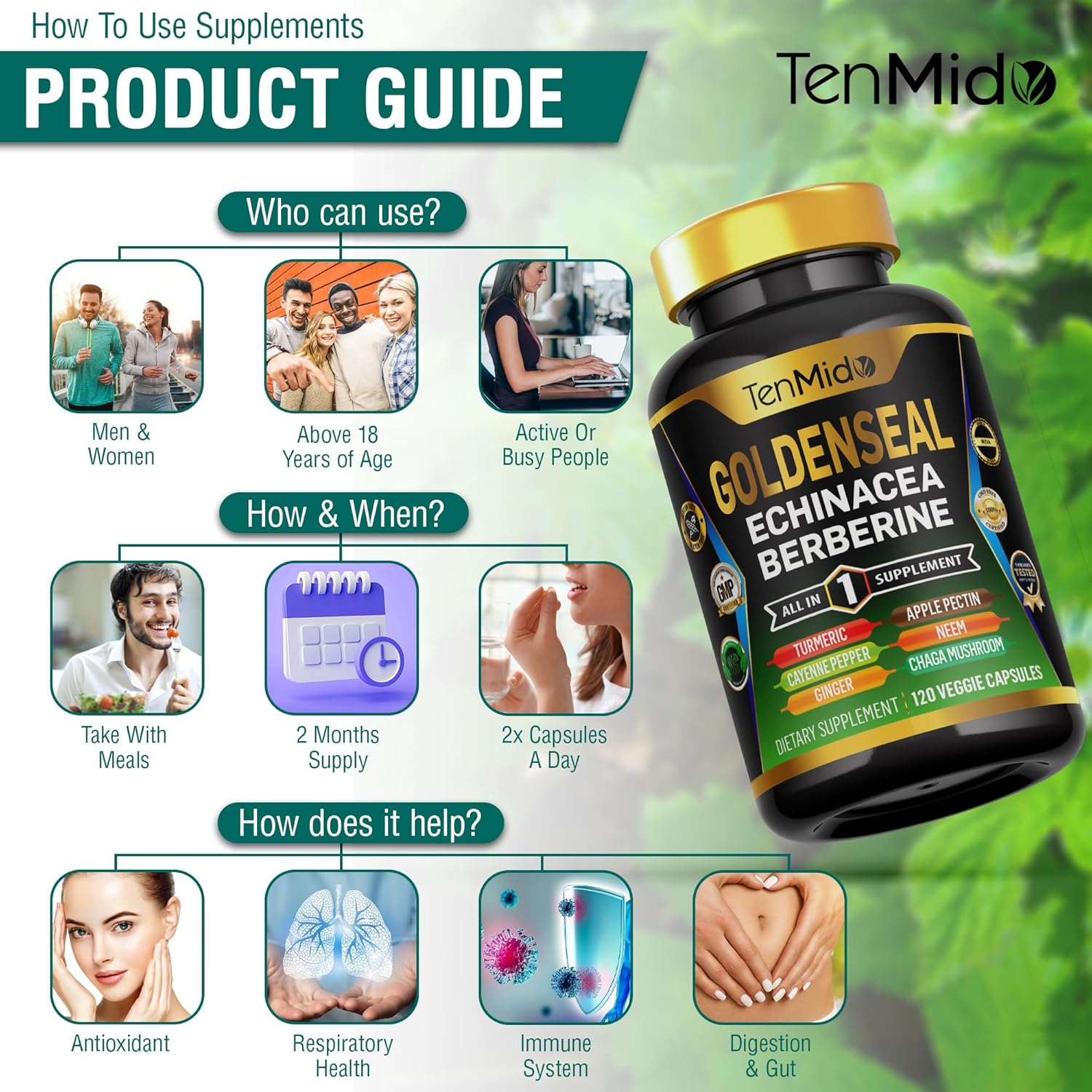 Tenmido 10in1 Goldenseal Root Supplement with Echinacea, Berberine, Turmeric, Cayenne Pepper, Ginger & More - Digestive Health Support - 120 Capsules