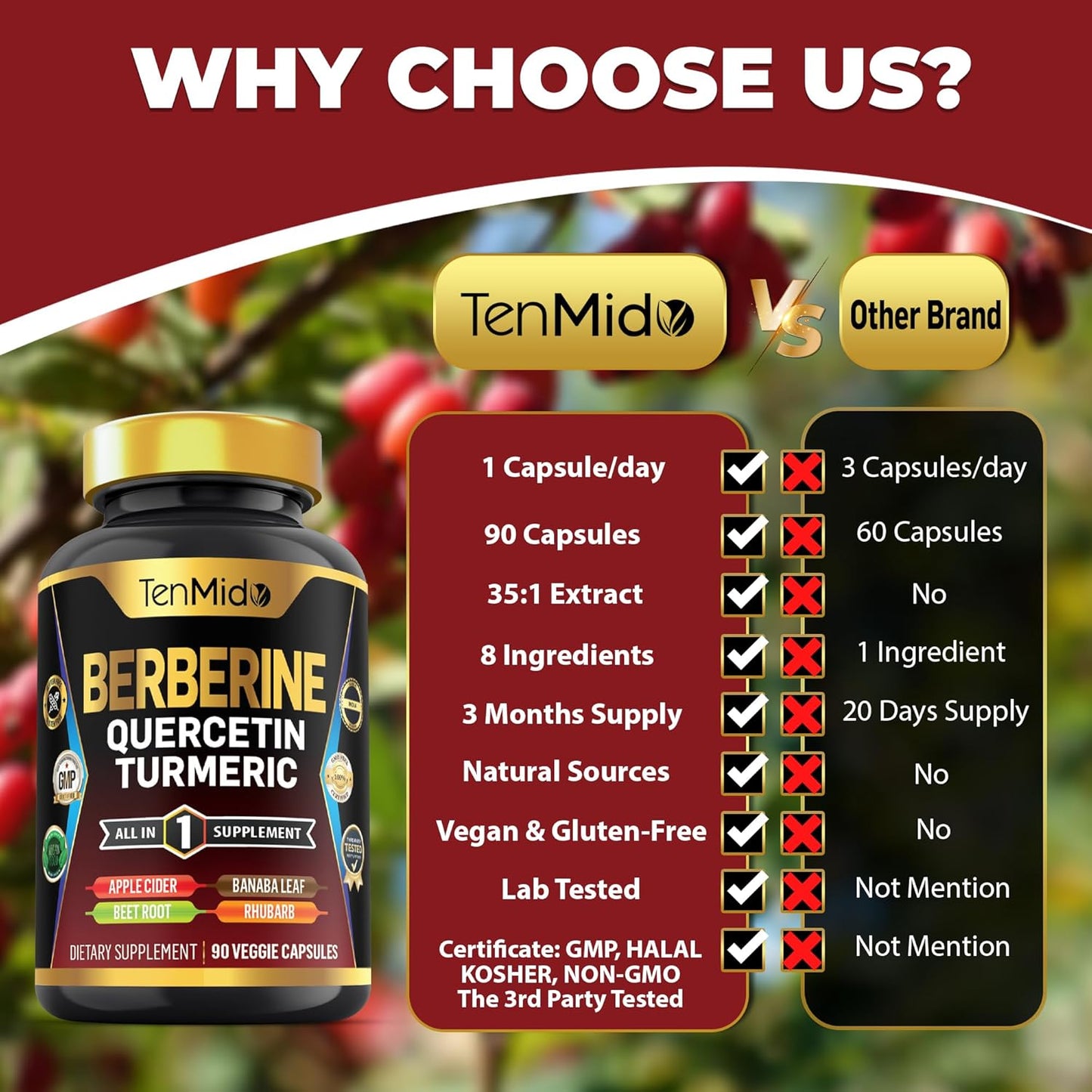Tenmido Berberine Supplement 8in1 Formula with Quercetin, Turmeric, Apple Cider Vinegar - Digestive & Immune Support - 90 Capsules