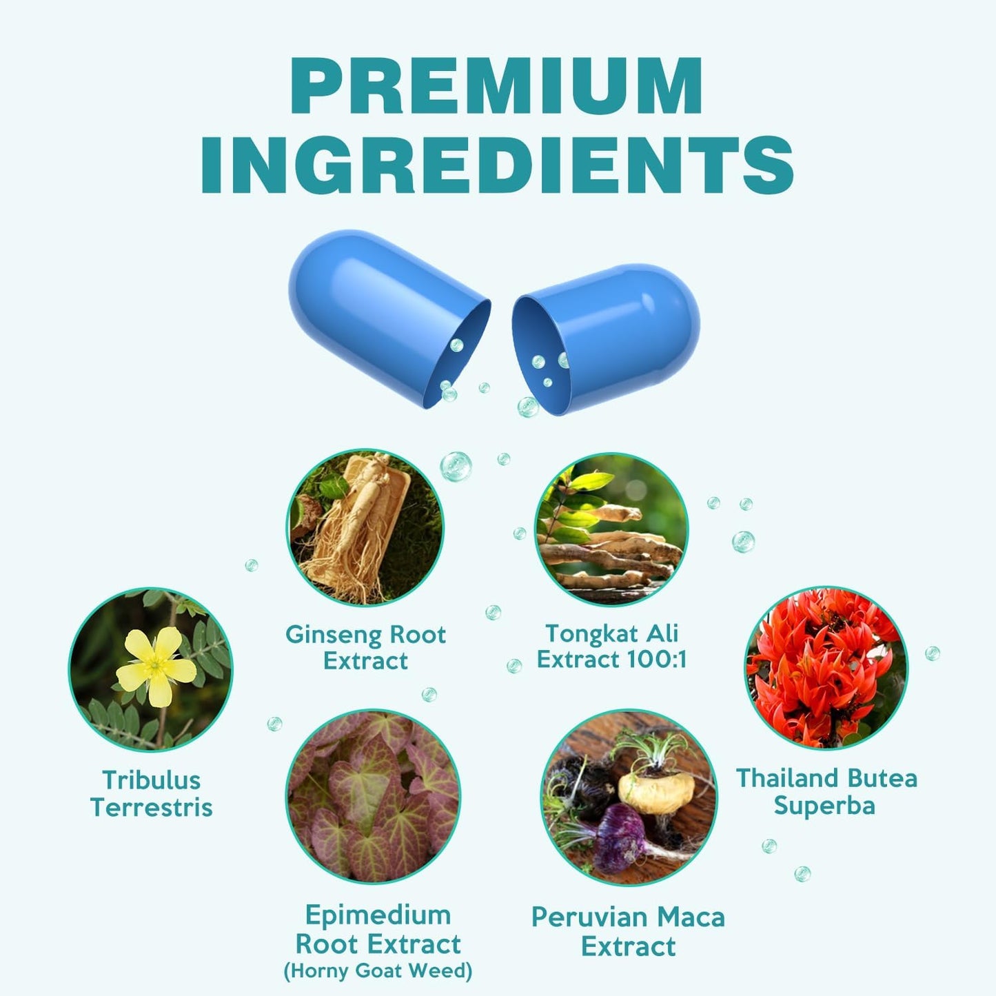 Teoxalqo Premium Nutrition Supplement for Enhanced Performance and Energy - 20 Capsules