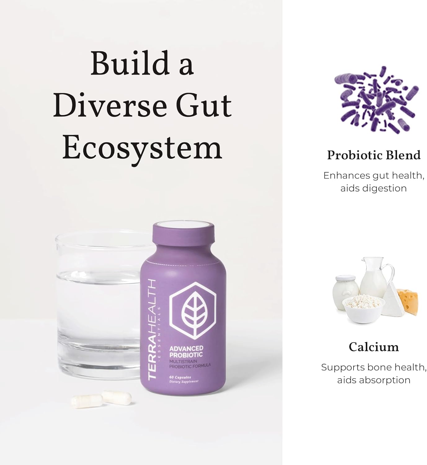 Terra Health Essentials Probiotic Supplement | 50 Billion CFU | Reduce Bloating & Gas, Boost Immunity | 30-Day Supply (60 Capsules)