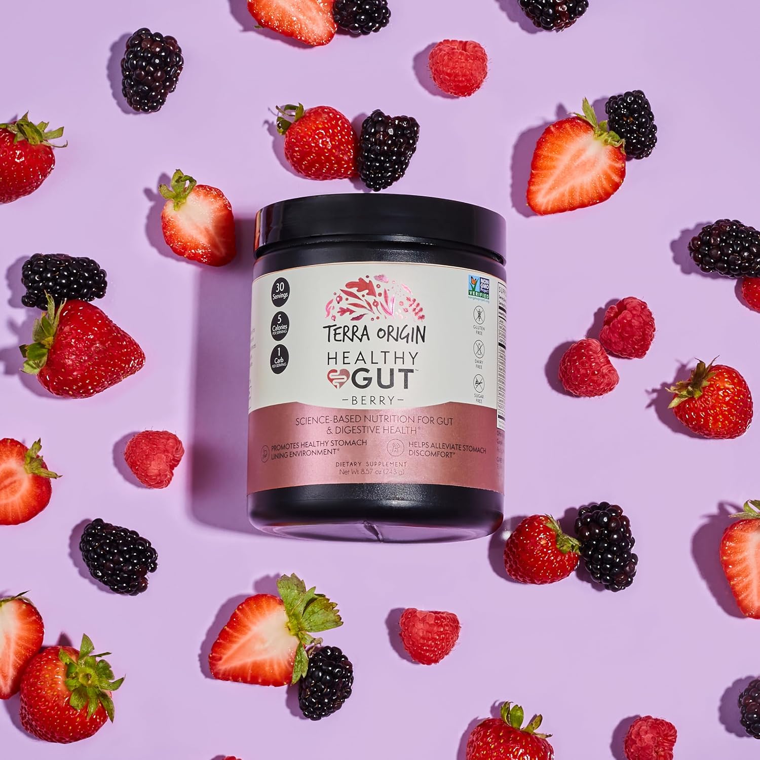 TERRA ORIGIN Healthy Gut Supplement 3-Pack | 90 Servings Berry Flavor with L-Glutamine, Zinc, Glucosamine, Slippery Elm Bark, Marshmallow Root