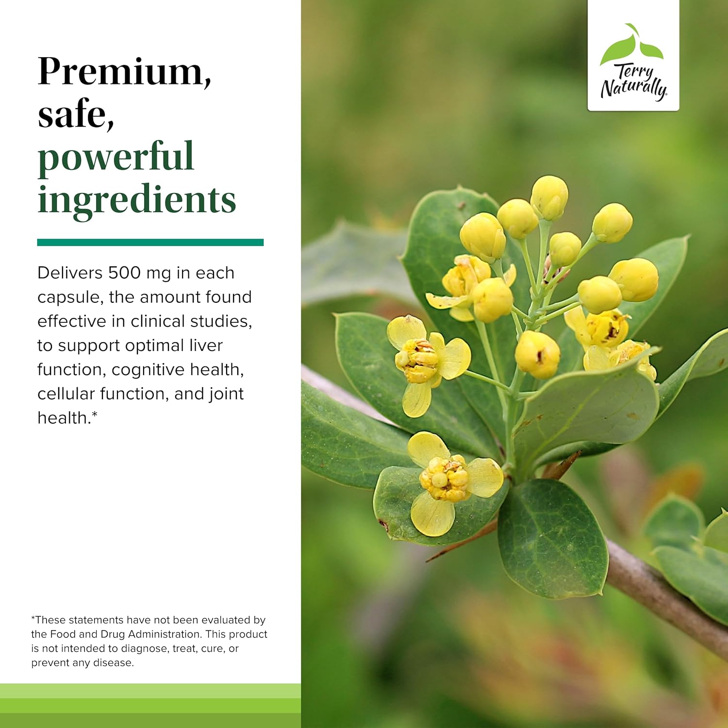 Terry Naturally Berberine Capsules - 60 Count x 2 Packs - Support for Metabolic Health - Non-GMO, Vegan, Gluten-Free - 120 Servings Total - BoostGo Australia