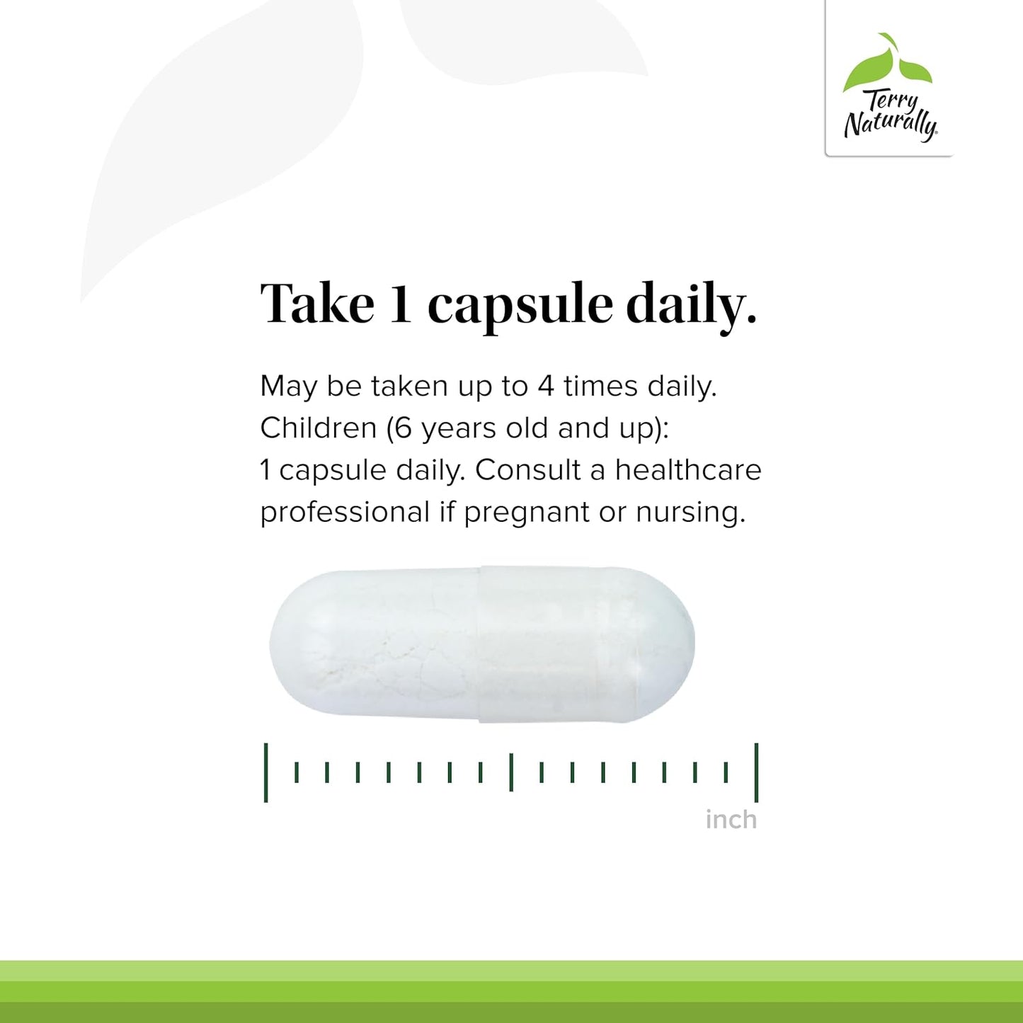Terry Naturally BioActive Magnesium Complex Capsules - 60 Servings with Vitamin B6 & Zinc - Non-GMO, Vegan, Gluten Free, Kosher