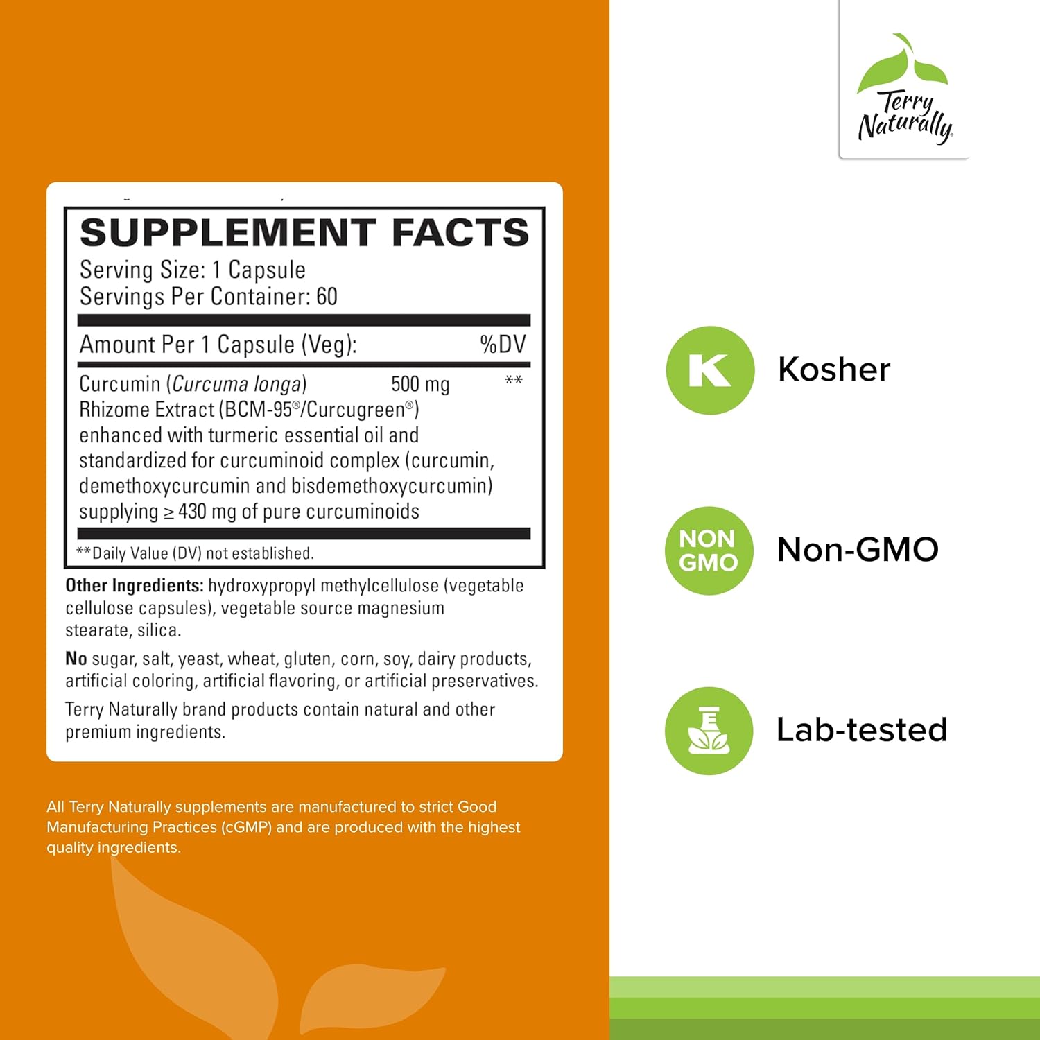 Terry Naturally CuraMed 500mg Curcumin Complex Capsules x2 - BCM-95 for Superior Absorption - Non-GMO, Vegan, Kosher, Gluten Free - 120 Servings