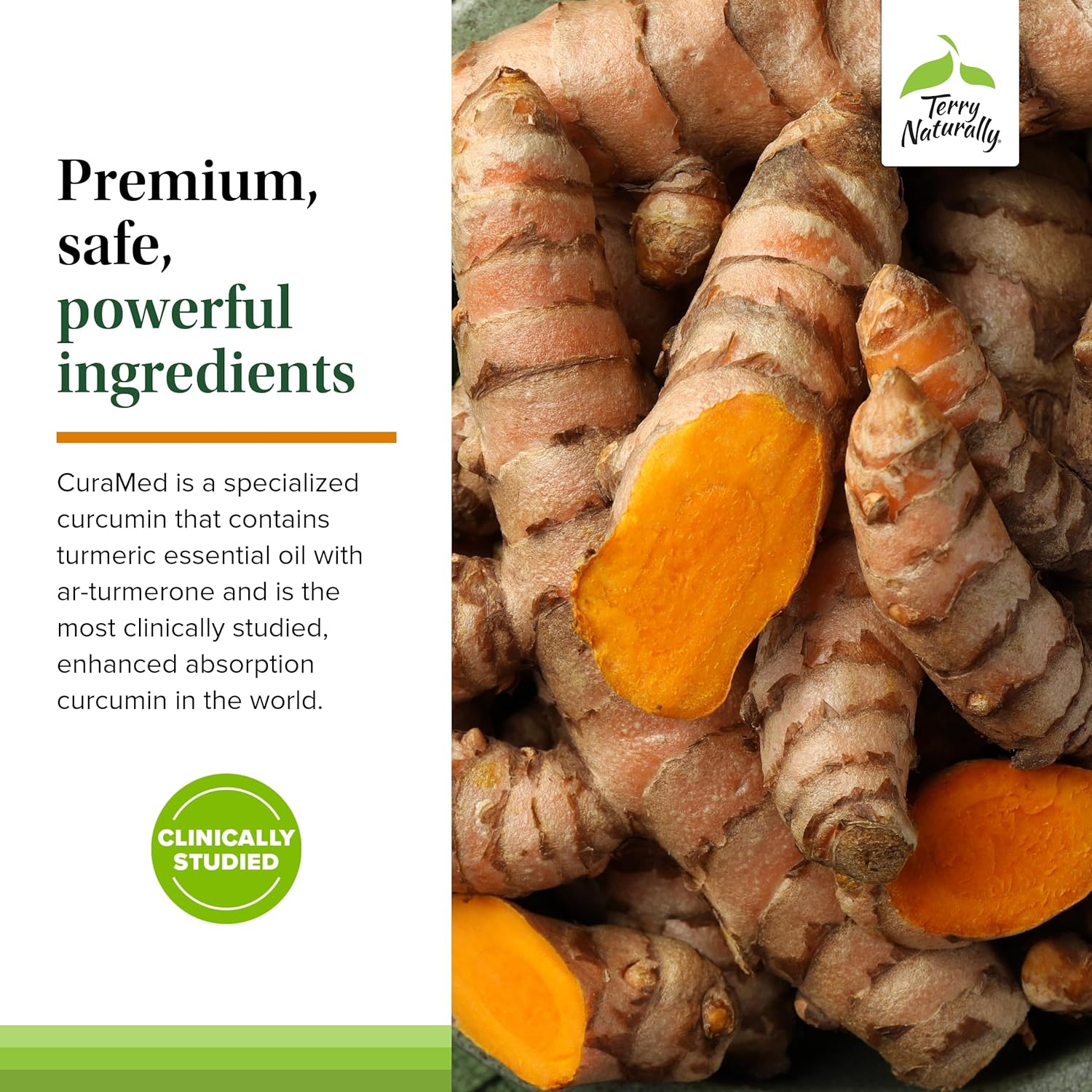 Terry Naturally CuraMed 500mg Curcumin Complex Capsules x2 - BCM-95 for Superior Absorption - Non-GMO, Vegan, Kosher, Gluten Free - 120 Servings