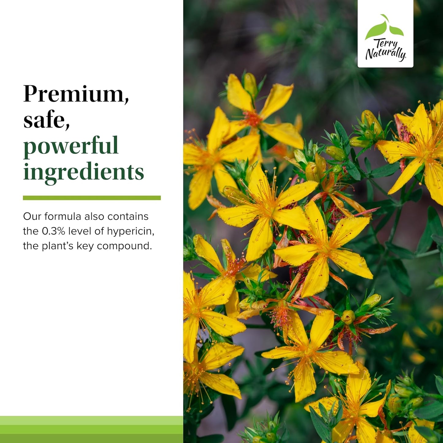 Terry Naturally St. John’s Wort 900 mg Tablets - Non-GMO, Vegan, Gluten Free - 60 Servings