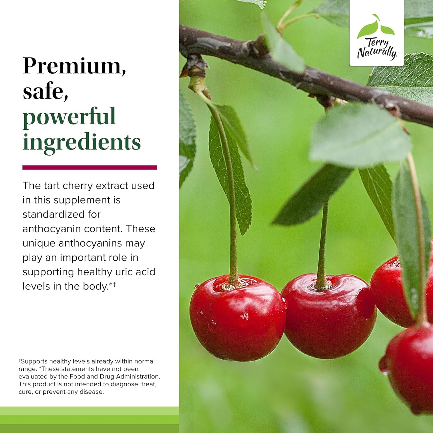 Terry Naturally Tart Cherry Capsules - Antioxidant Support for Healthy Uric Acid Balance & Joints - Dietary Supplement for Exercise Recovery - 120 Ct