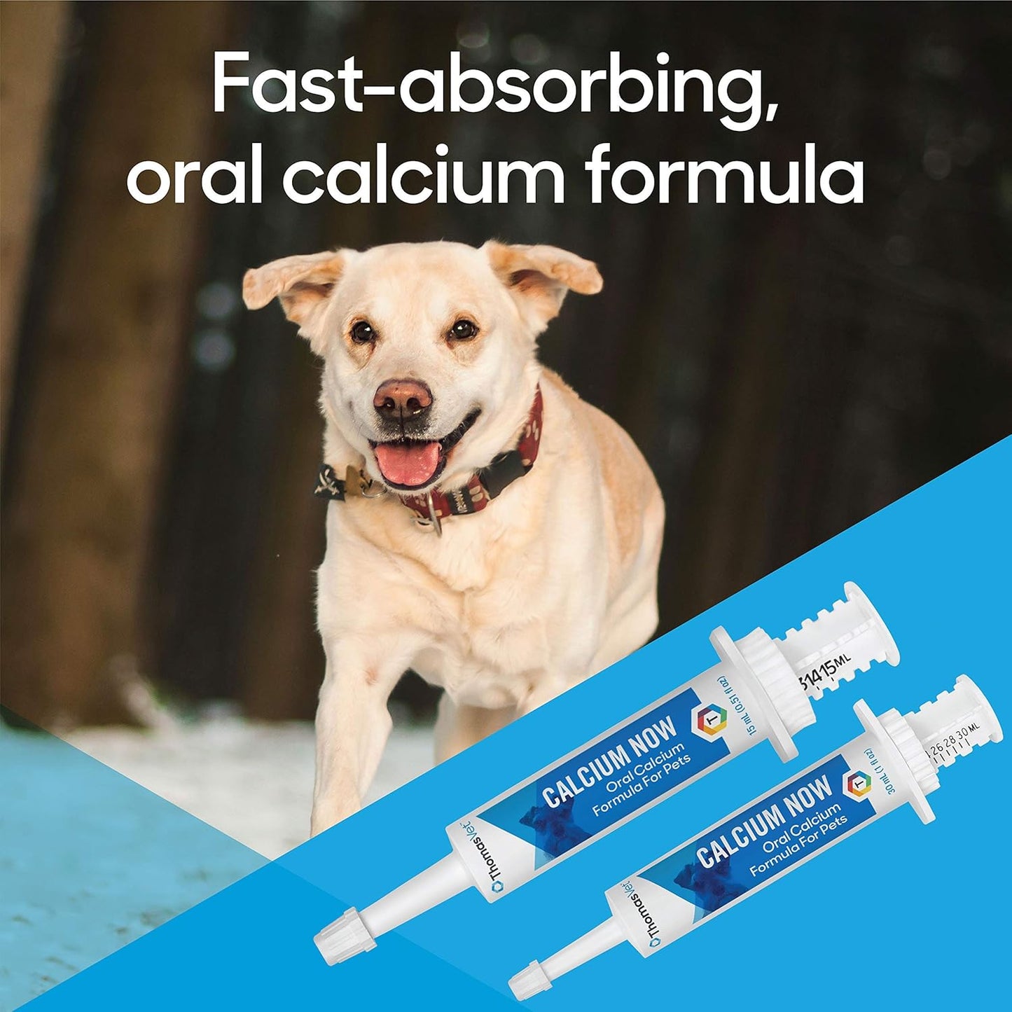 Thomas Labs Pet Calcium Supplement for Dogs & Cats - Fast-Absorbing Oral Calcium for Whelping, Nursing, & Deficiency - 15 mL