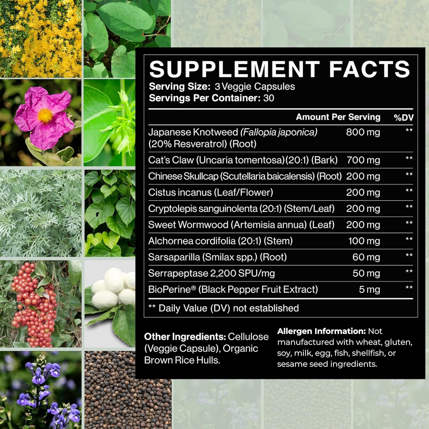 Tick Immune Support Supplement - Enhanced Formula with Japanese Knotweed, Cat's Claw, and Chinese Skullcap - 90 Vegan Capsules, USA-Made - BoostGo Australia