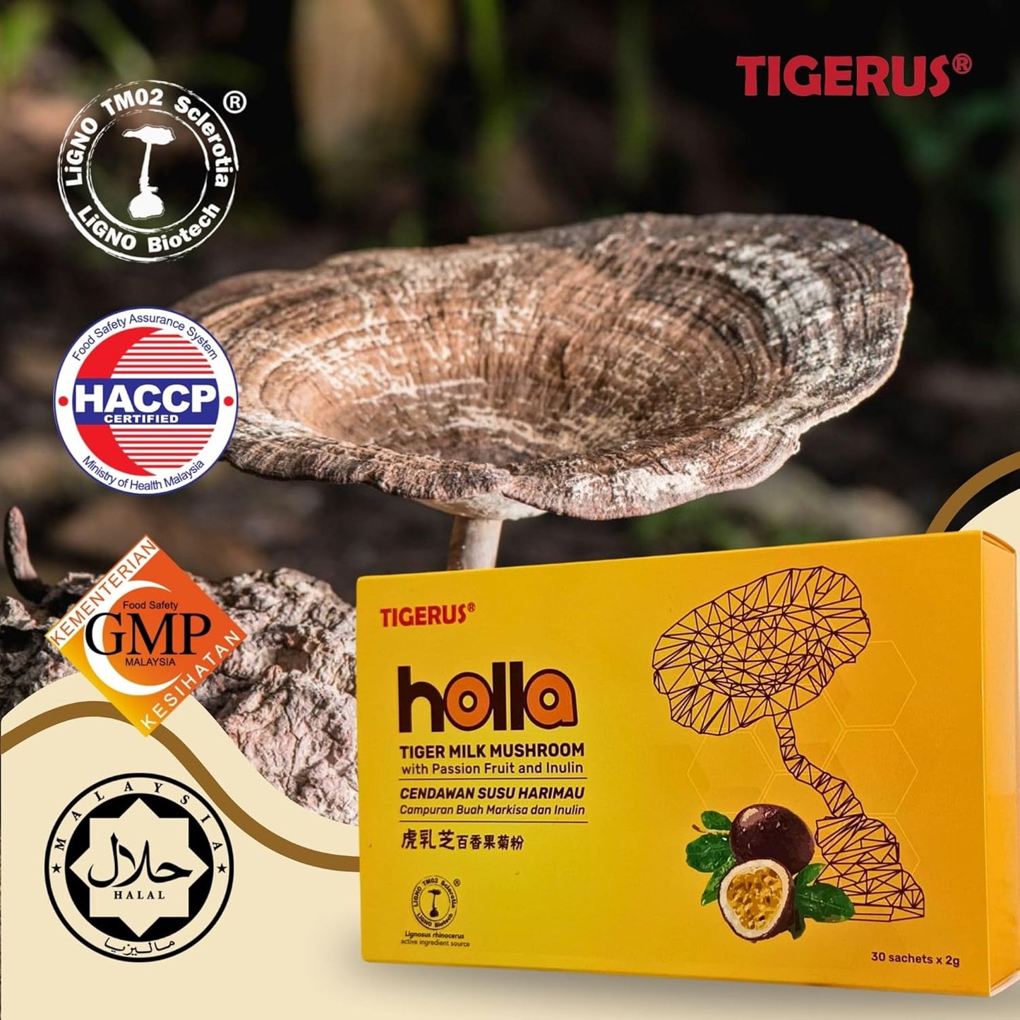 TIGERUS® Holla Tiger Milk Mushroom with Passion Fruit and Inulin - Immune Support, Digestive Health, Antioxidant Boost - 30 Sachets for Natural Wellness
