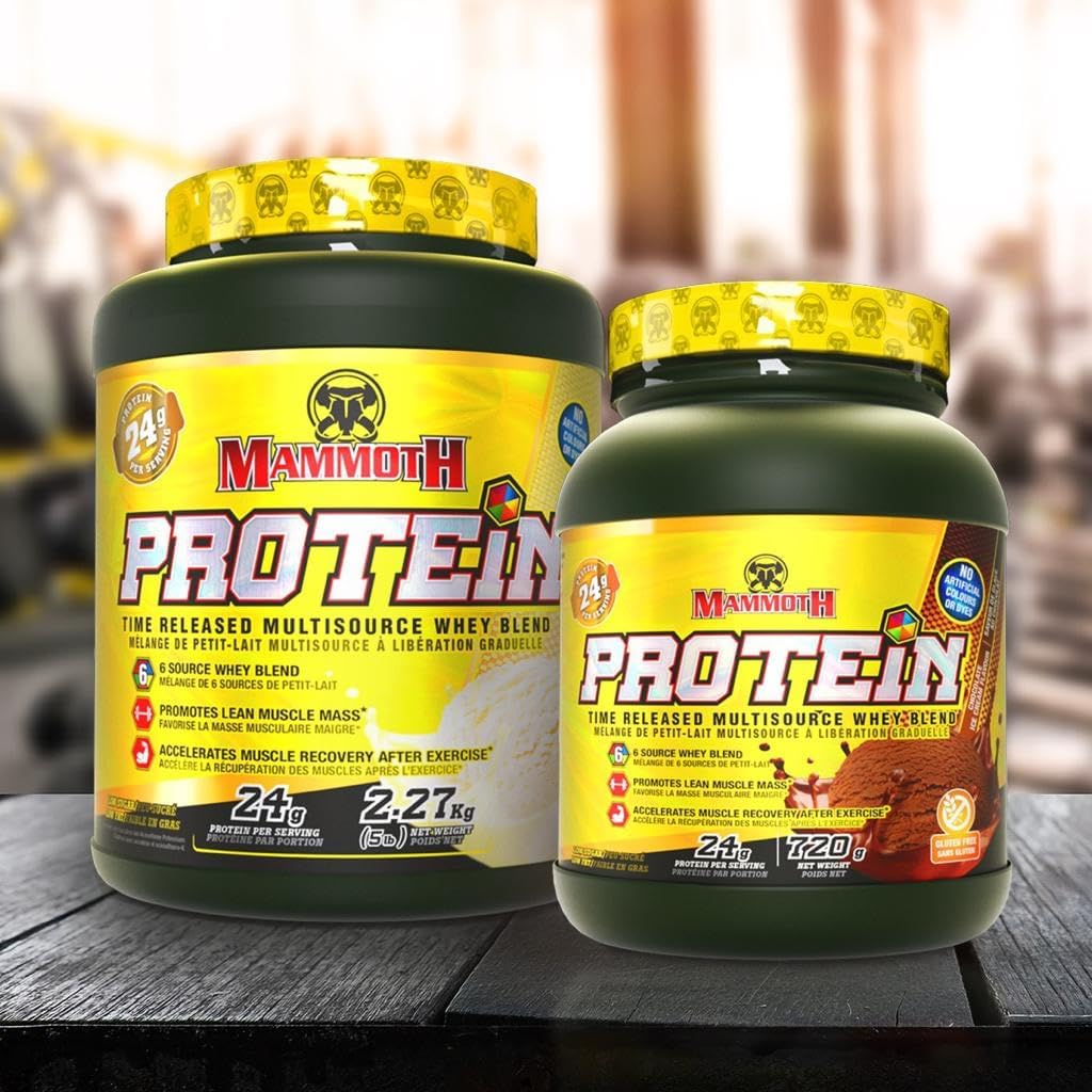 TIME-RELEASE Mammoth Protein Powder Shake with WHEY Isolate & Casein - Vanilla Flavor, Low Sugar - 1.6 Lb