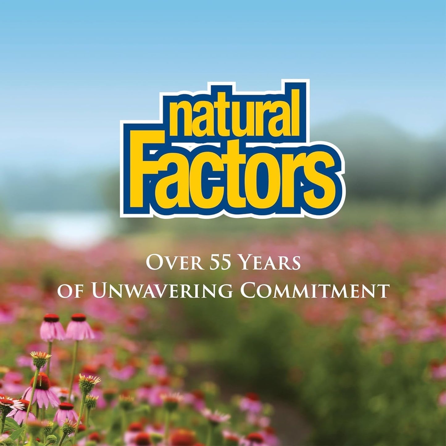 Time Release Natural Factors Vitamin C 1000mg: Antioxidant & Immune Support, 180 Tablets