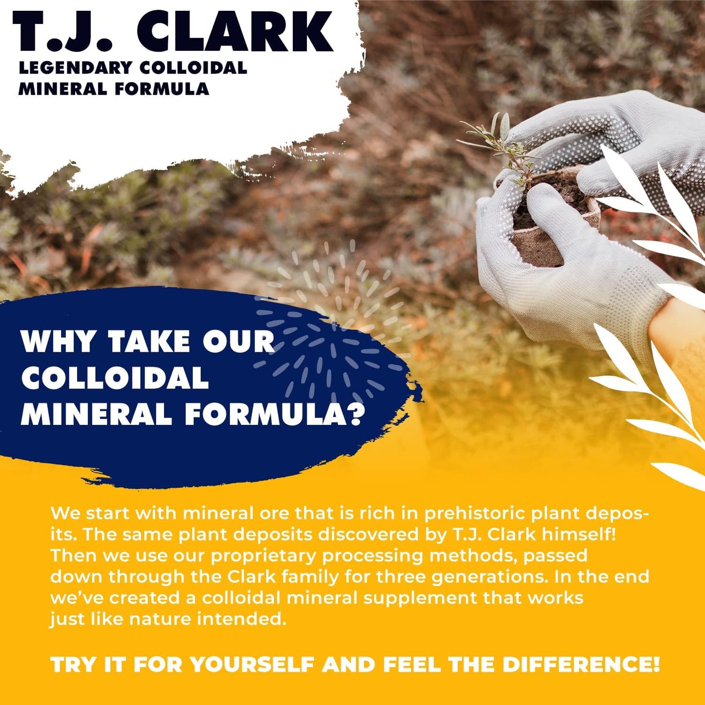 T.J. Clark Legendary Colloidal Mineral Formula 32 fl. oz. (2 Pack) for Enhanced Health & Wellness