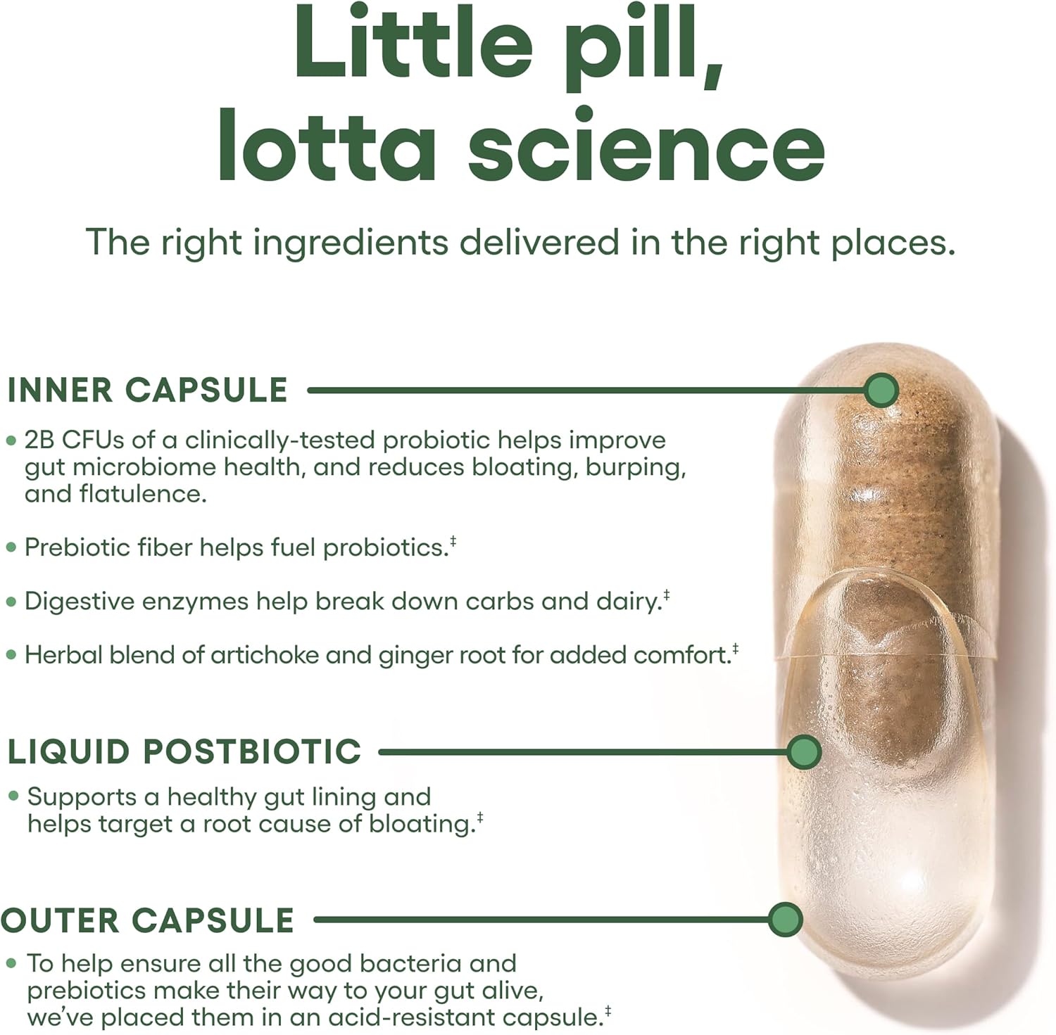 Tranquil Tummy Bundle: Physician's CHOICE Bloat & Gas Probiotic with KSM-66 Ashwagandha - 30ct + 60ct
