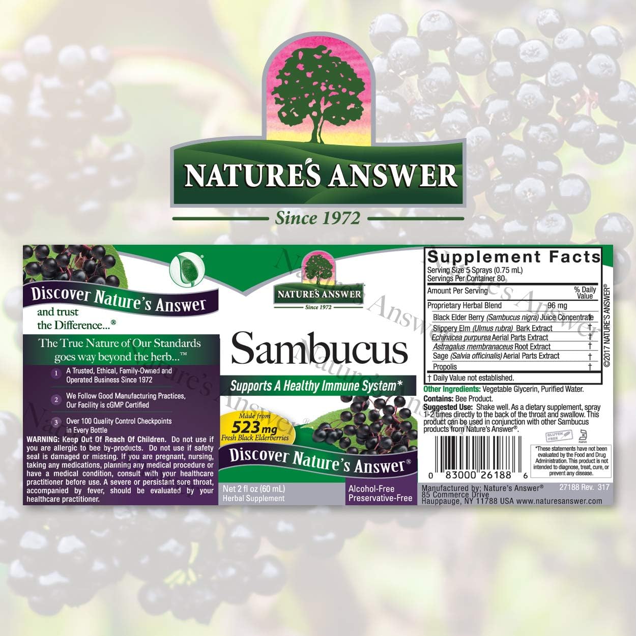 Travel-Friendly Nature's Answer Sambucus Syrup Extract Spray | 2 oz Immune Booster | Antioxidant-Rich | Natural Immune Support