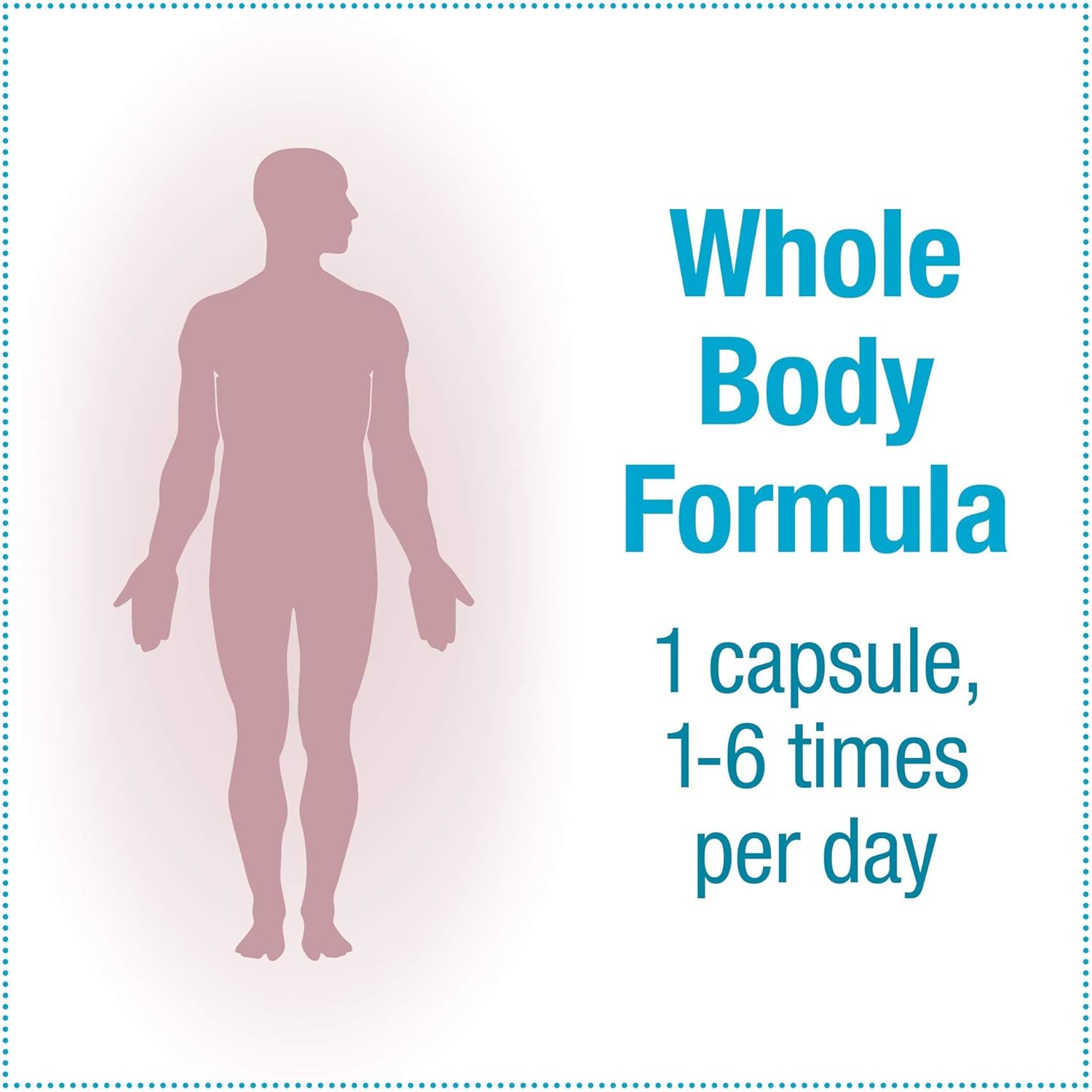 TravelBiotic Probiotic Supplement - 10 Billion CFU for Colon and Immune Health - Vegan - 60 Capsules