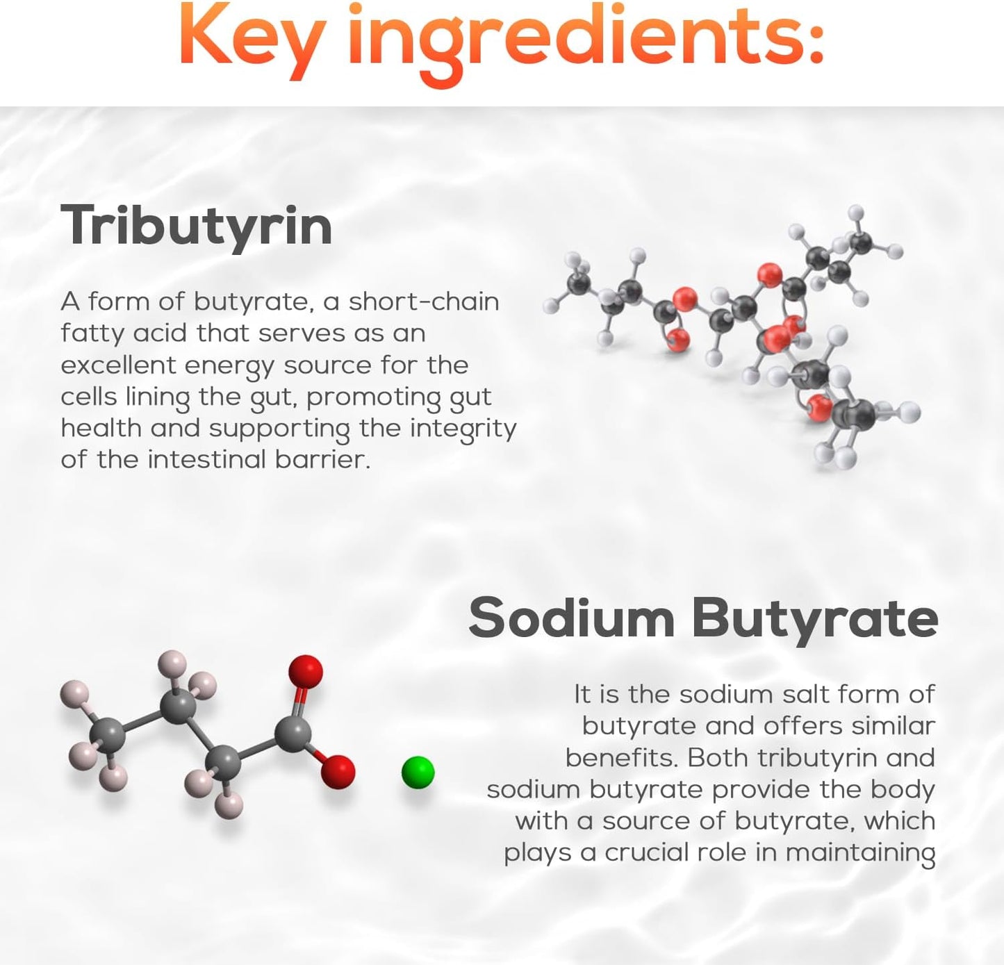 Tributyrin Complete Butyrate Supplement (550mg) for Digestive Health - Immune & Gut Support with Probiotics for Men & Women