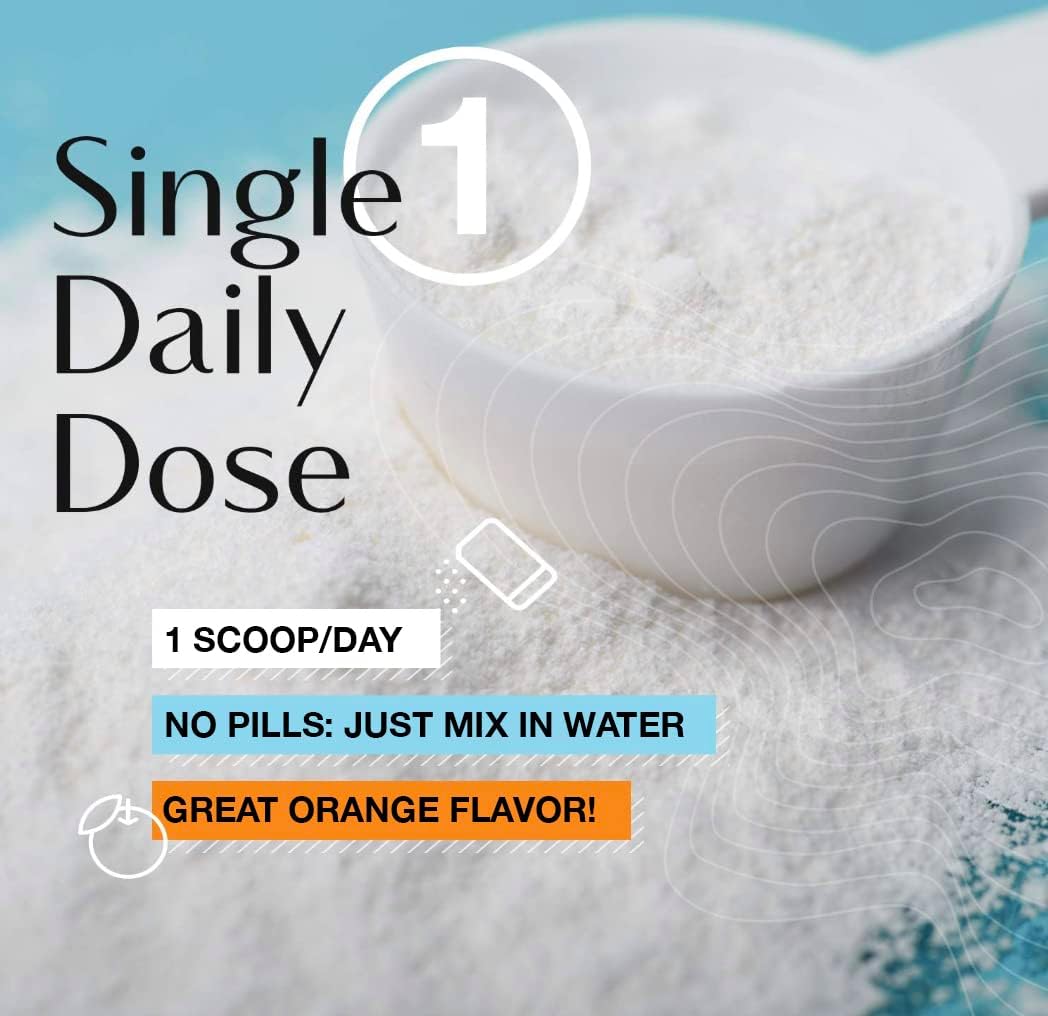 Triple Strength Bone & Joint Health Powder Supplement with MSM, Glucosamine, & Chondroitin - 30 Scoops