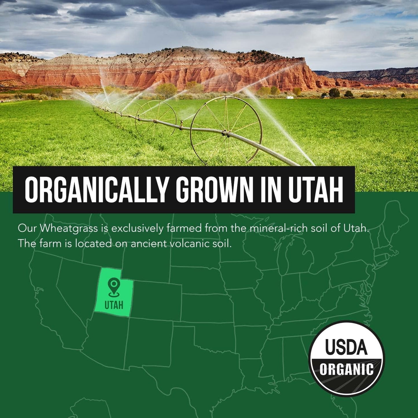 Triquetra Health Organic Wheatgrass Juice Powder - Super Concentrated Lemon Flavor - 6.2 oz, 60 Servings - Raw & BioActive - Grown in Utah Volcanic Soil, Cold-Pressed & CO2 Dried