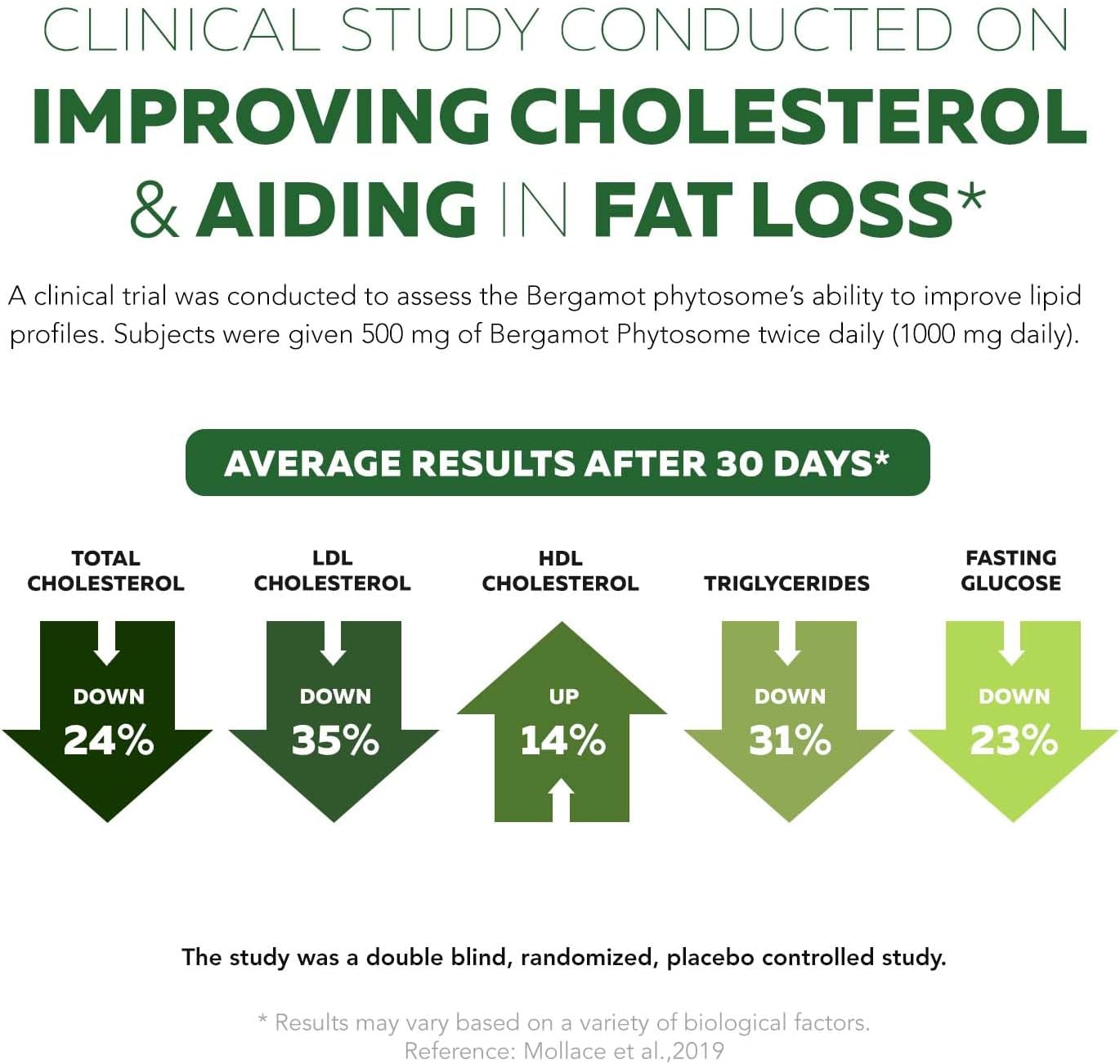 Triquetra Health SoActive Bergamot Capsules: Italian Citrus Bergamot Phytosome with Grape Seed Extract - Supports Cholesterol & Weight Management - 60 Capsules