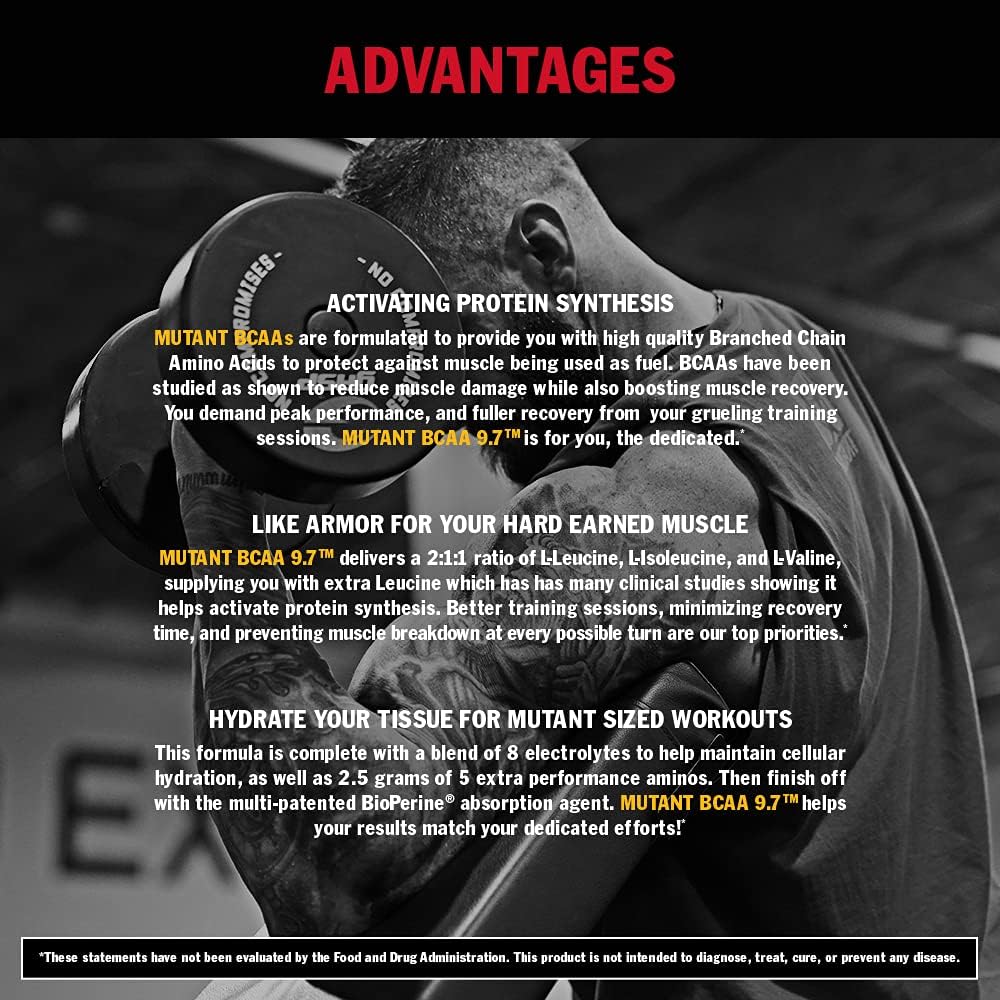 Tropical Mango Mutant BCAA 9.7 Supplement with Micronized Amino Energy Support Stack - 348g