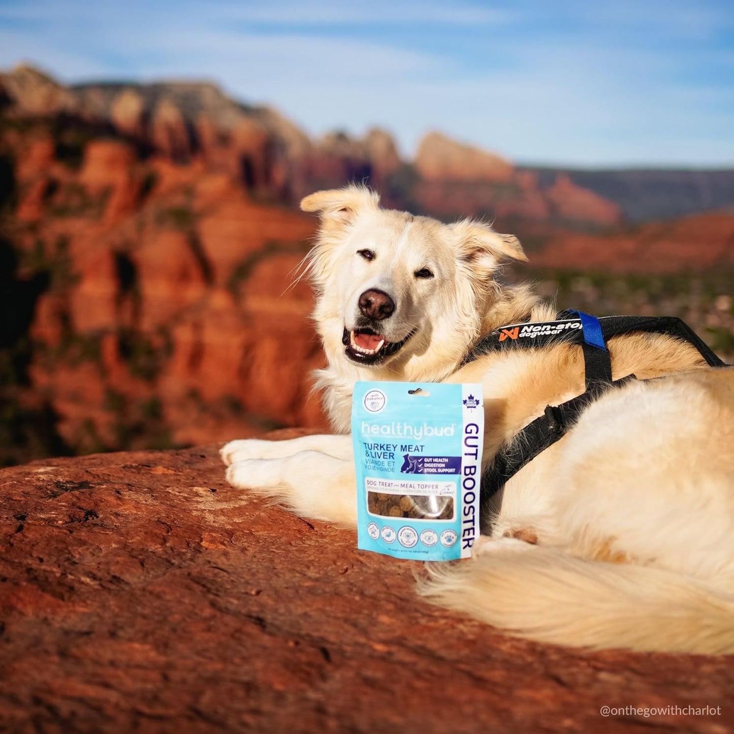 Turkey Probiotic Chews for Dogs - Digestive Health Support with Prebiotic, Fiber, and Vitamins - Puppy Liver Treats, Stool Firming Formula (4.6oz)