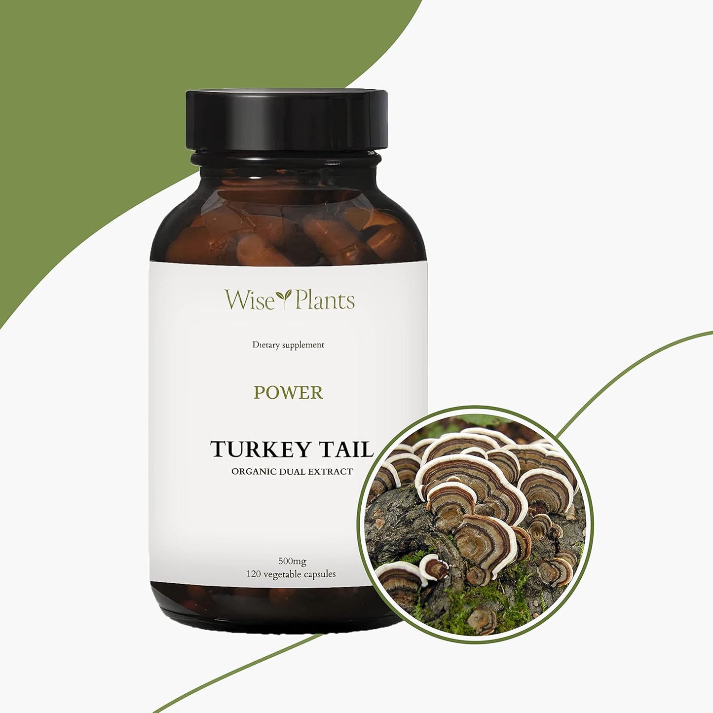 Turkey Tail Mushroom Supplement - Pure Fruiting Body Extract with 30% Polysaccharides - 500mg, 120 Vegecaps - Immune Function Support
