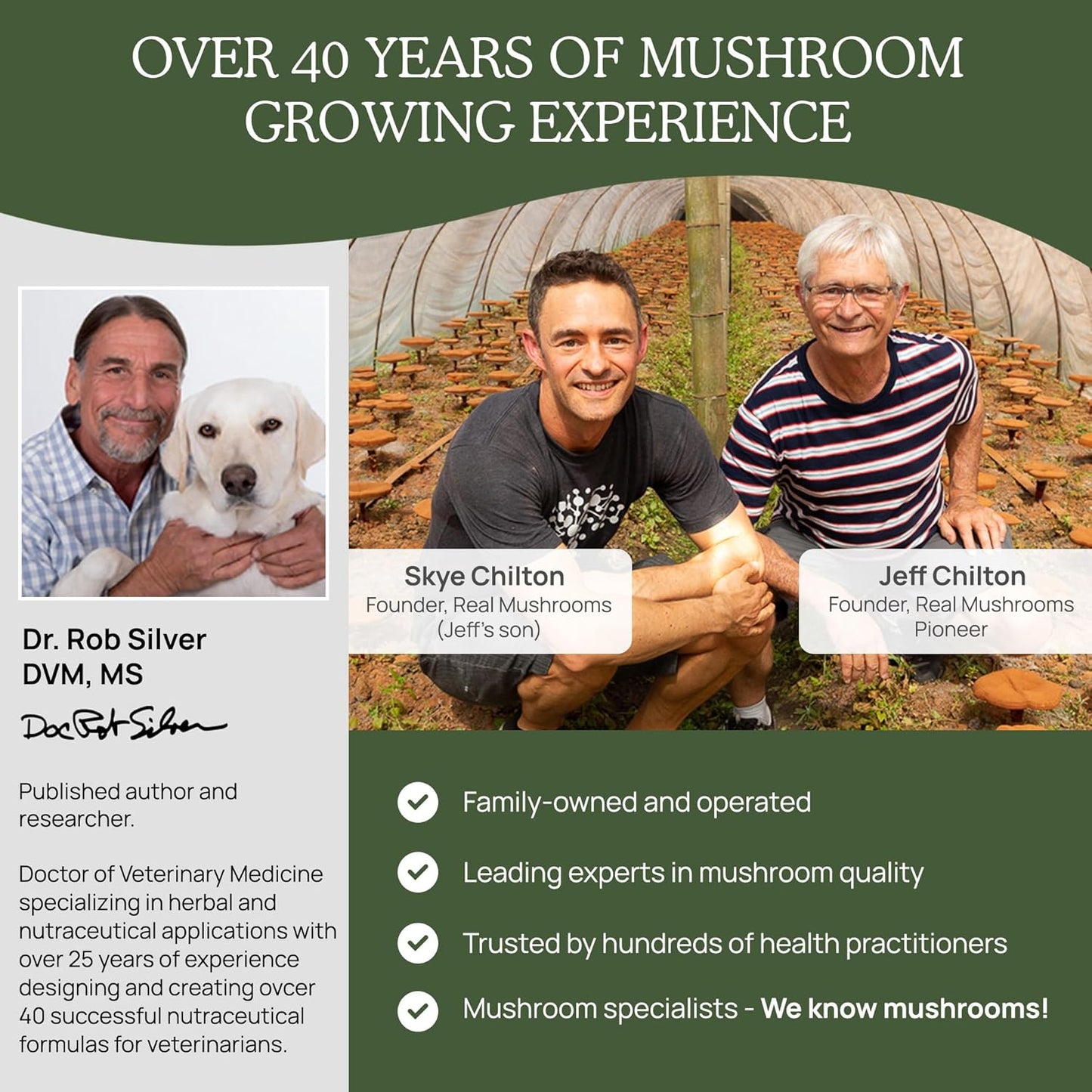 Turkey Tail Pet Support: Dog Multivitamins for Immune & Gut Health - Vet-Approved, Gluten-Free 90ct Supplement