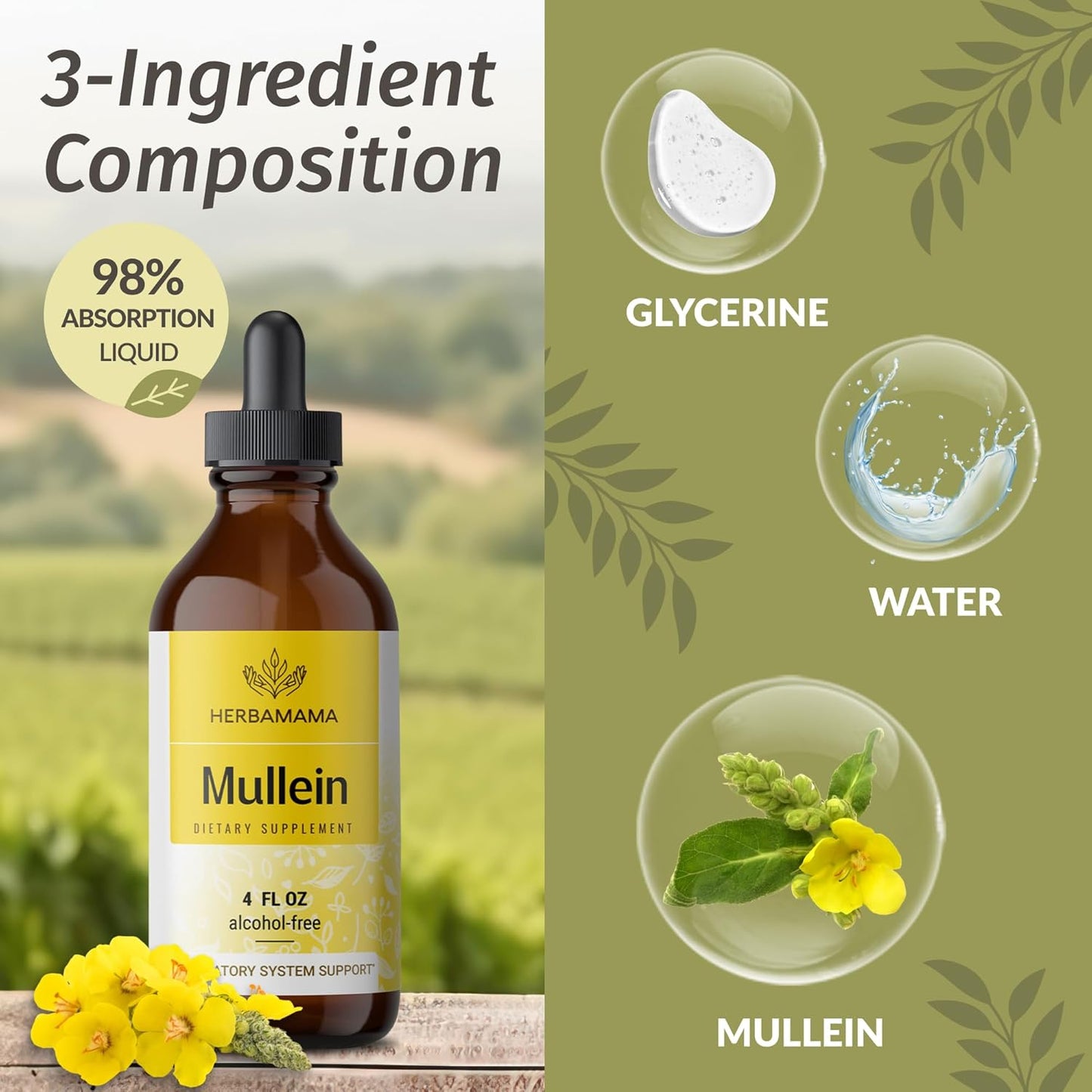 Turmeric Curcumin Extract and Mullein Leaf Tincture Liquid Drops Bundle - Vegan, Non-GMO, Sugar & Alcohol-Free - HERBAMAMA 2 Pack