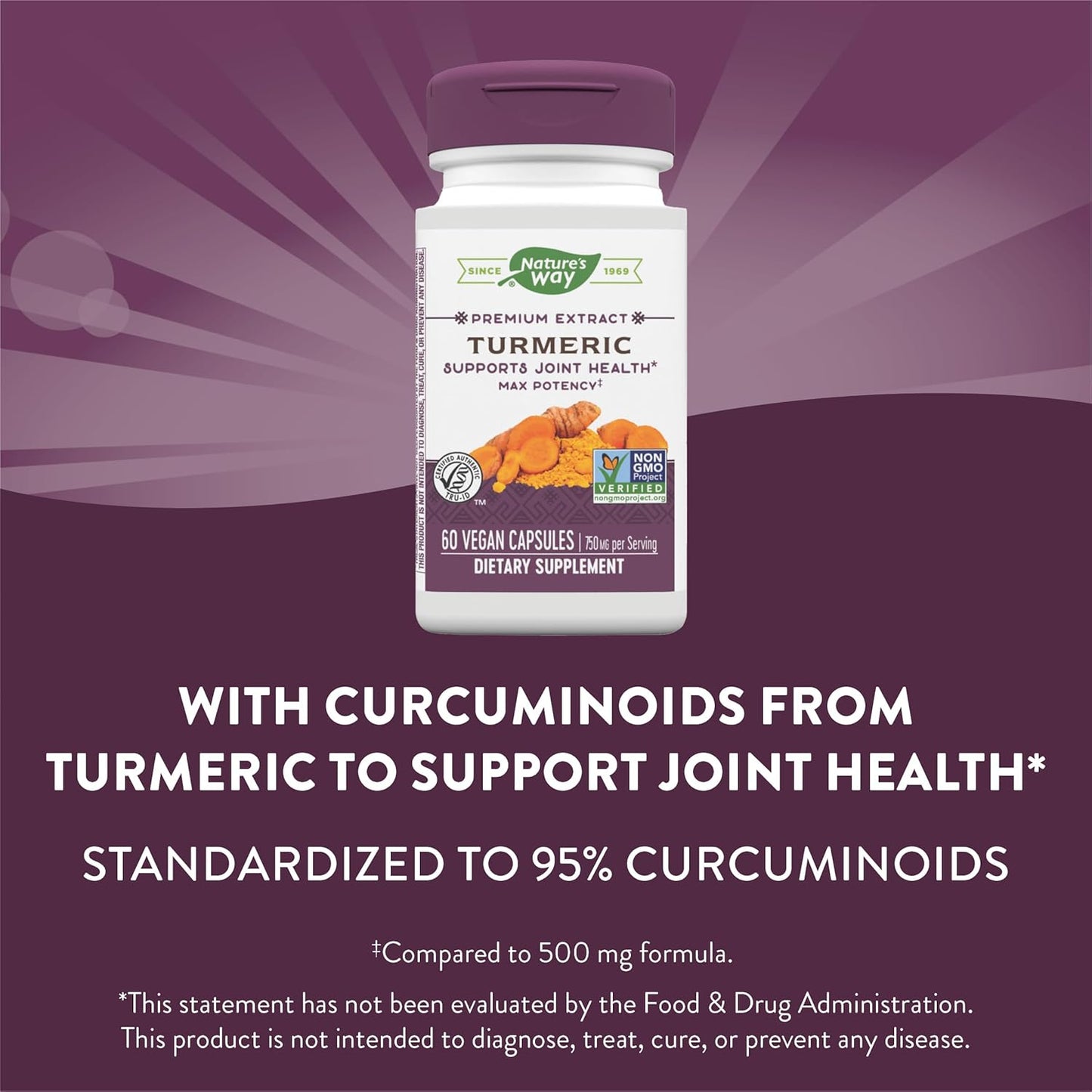 Turmeric Extract Capsules - 750mg Max Potency, 95% Curcuminoids, 60 Vegan Capsules by Nature's Way