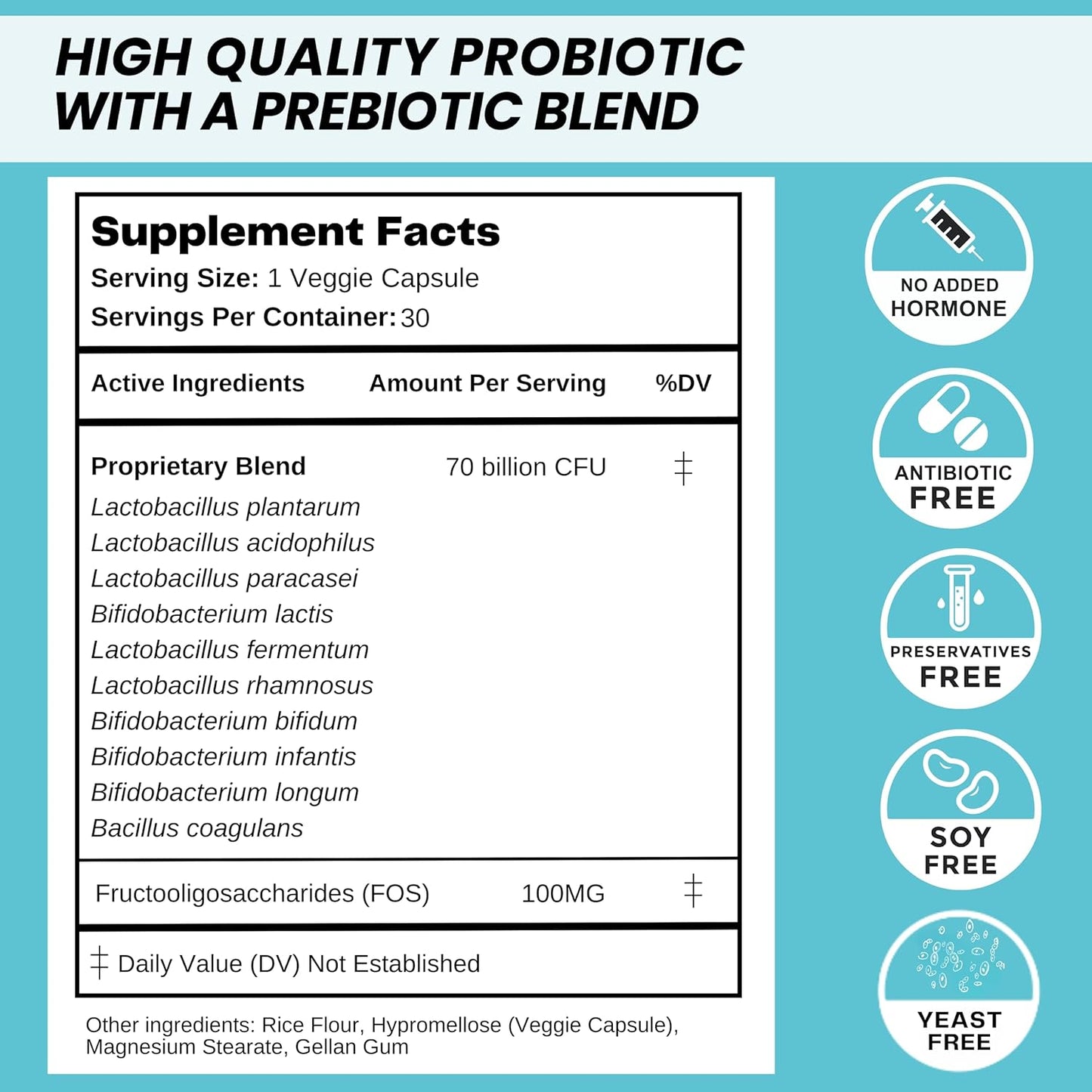 Turmeric & Ginger with Probiotics: 240 ct + 70 Billion CFU - Natural Supplement