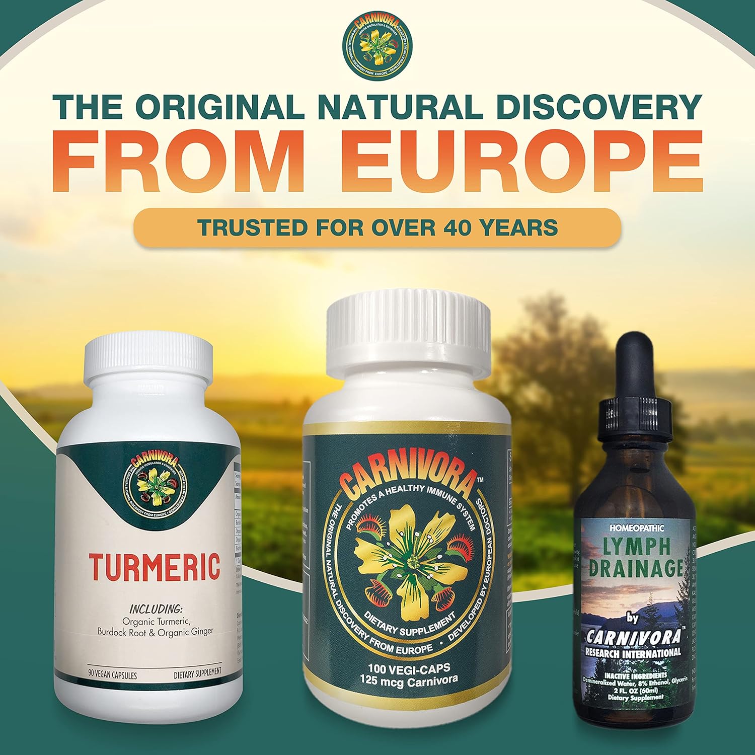 Turmeric Supplement for Joint and Digestive Health - Vegan Capsules with Antioxidant Properties and Inflammatory Support