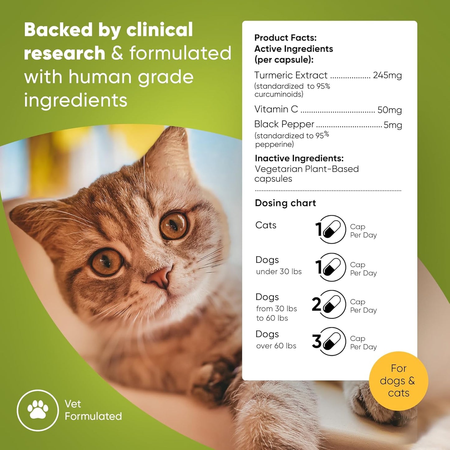 Turmeric Supplement for Pets with Curcumin, Piperine, and Vitamin C - 60 Count Anti-Inflammatory Relief Owl Turmeric