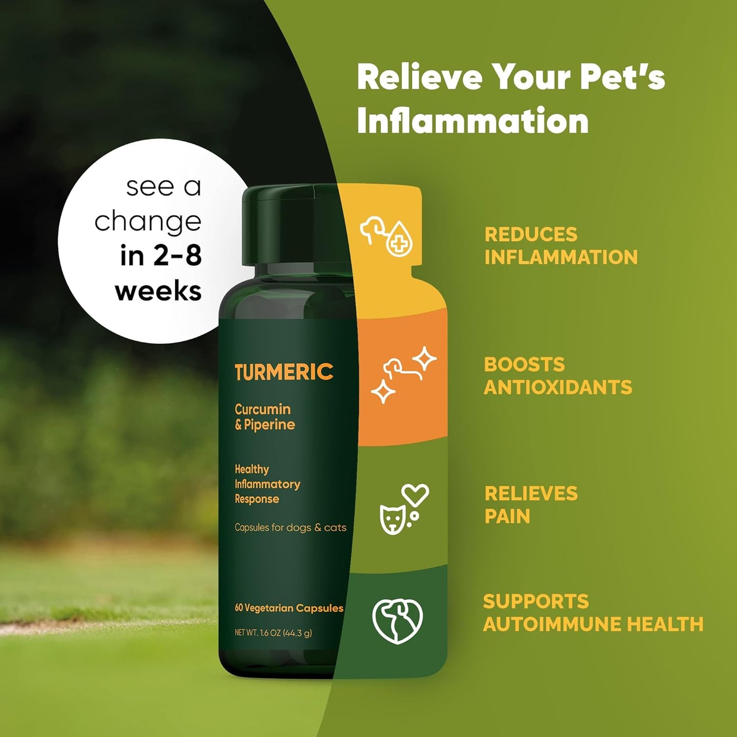 Turmeric Supplement for Pets with Curcumin, Piperine, and Vitamin C - 60 Count Anti-Inflammatory Relief Owl Turmeric