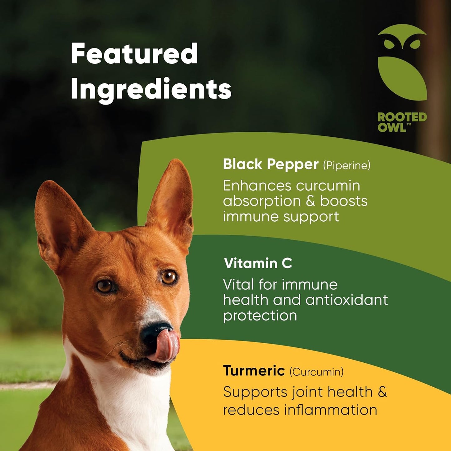 Turmeric Supplement for Pets with Curcumin, Piperine, and Vitamin C - 60 Count Anti-Inflammatory Relief Owl Turmeric