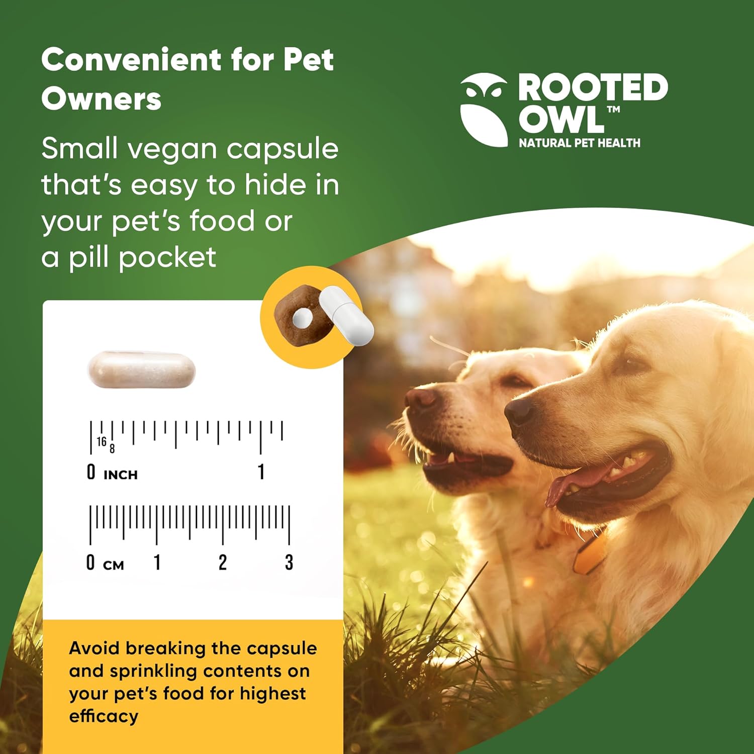 Turmeric Supplement for Pets with Curcumin, Piperine, and Vitamin C - 60 Count Anti-Inflammatory Relief Owl Turmeric