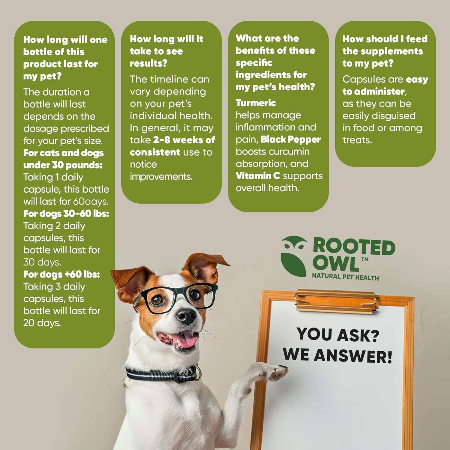 Turmeric Supplement for Pets with Curcumin, Piperine, and Vitamin C - 60 Count Anti-Inflammatory Relief Owl Turmeric