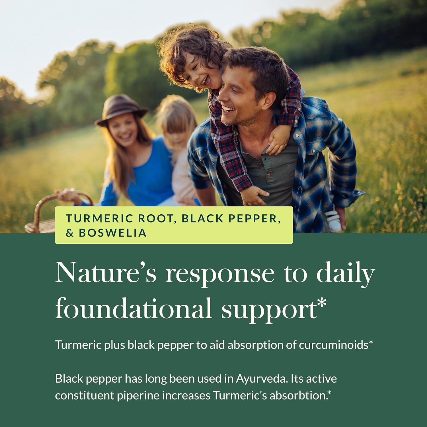 Turmeric Supreme Joint Health Supplement with Quercetin, Boswellia, and Ginger - 60 Liquid Capsules