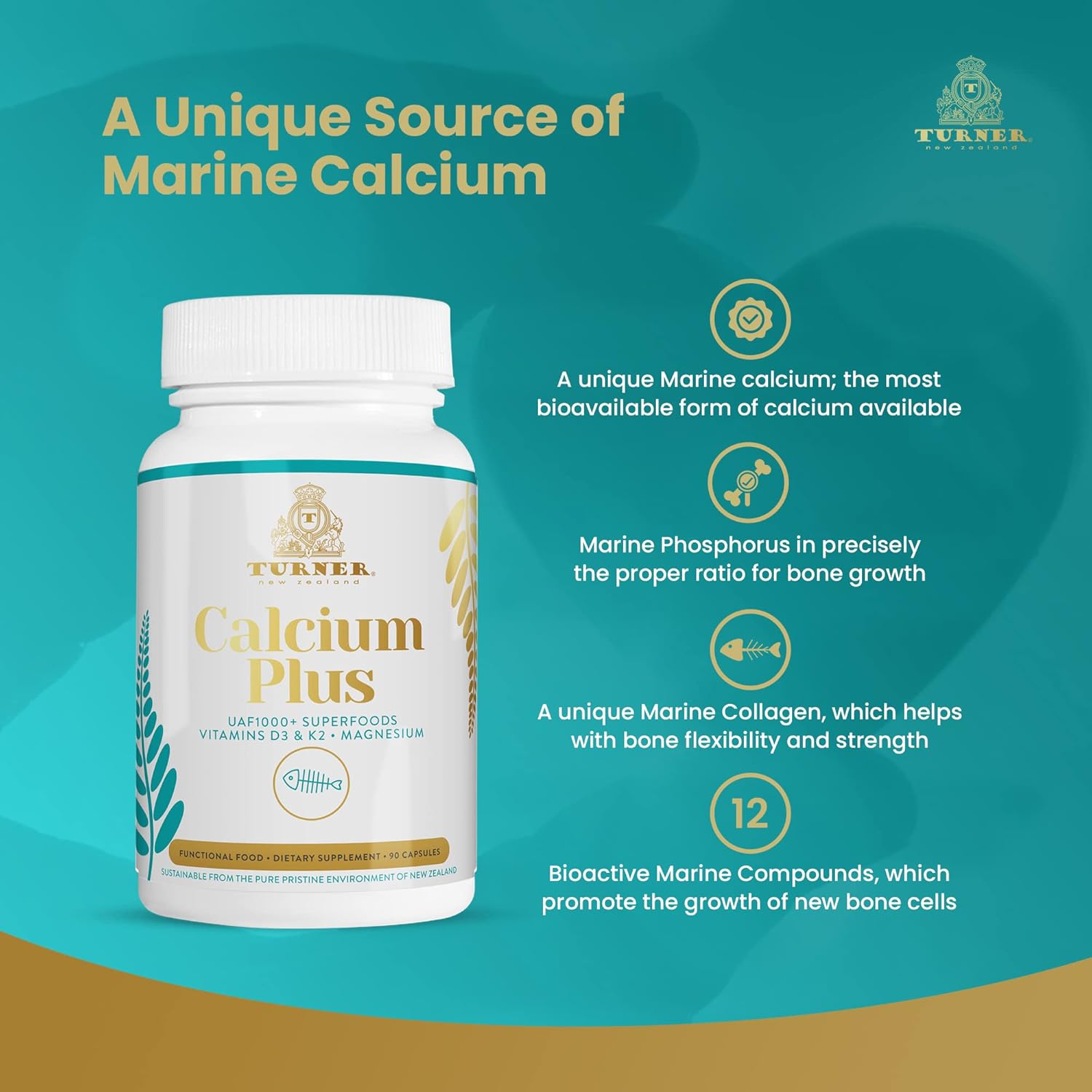 TURNER Calcium Plus with UAF1000+ Super Antioxidant - Natural Marine Supplement for Bone & Joint Health - 6 Bottles, 540 Capsules