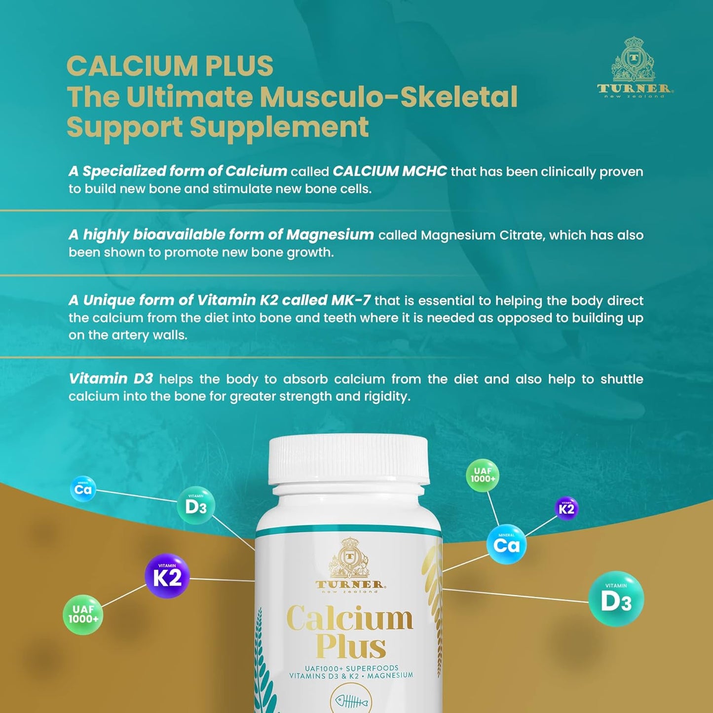 TURNER Calcium Plus with UAF1000+ Super Antioxidant - Natural Marine Supplement for Bone & Joint Health - 6 Bottles, 540 Capsules