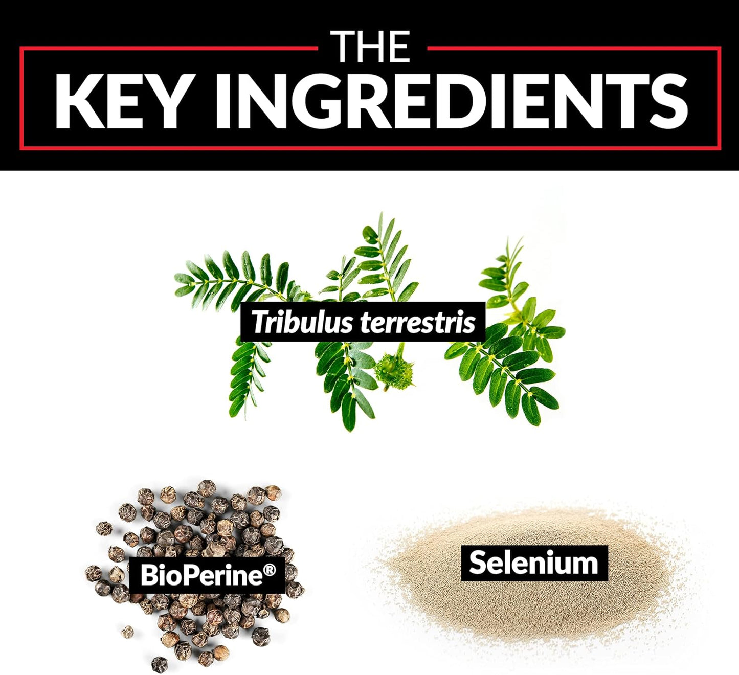 Two-Pack Force Factor Tribulus Terrestris 60ct Dietary Supplement for Men's Health