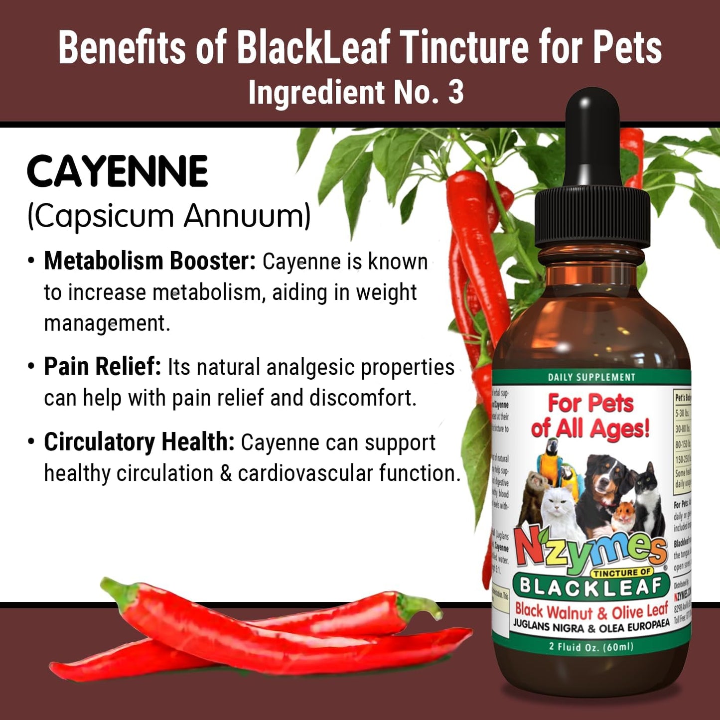 Two Pack of Nzymes BlackLeaf Pet Tincture - All-Natural and Organic Formula for Pets