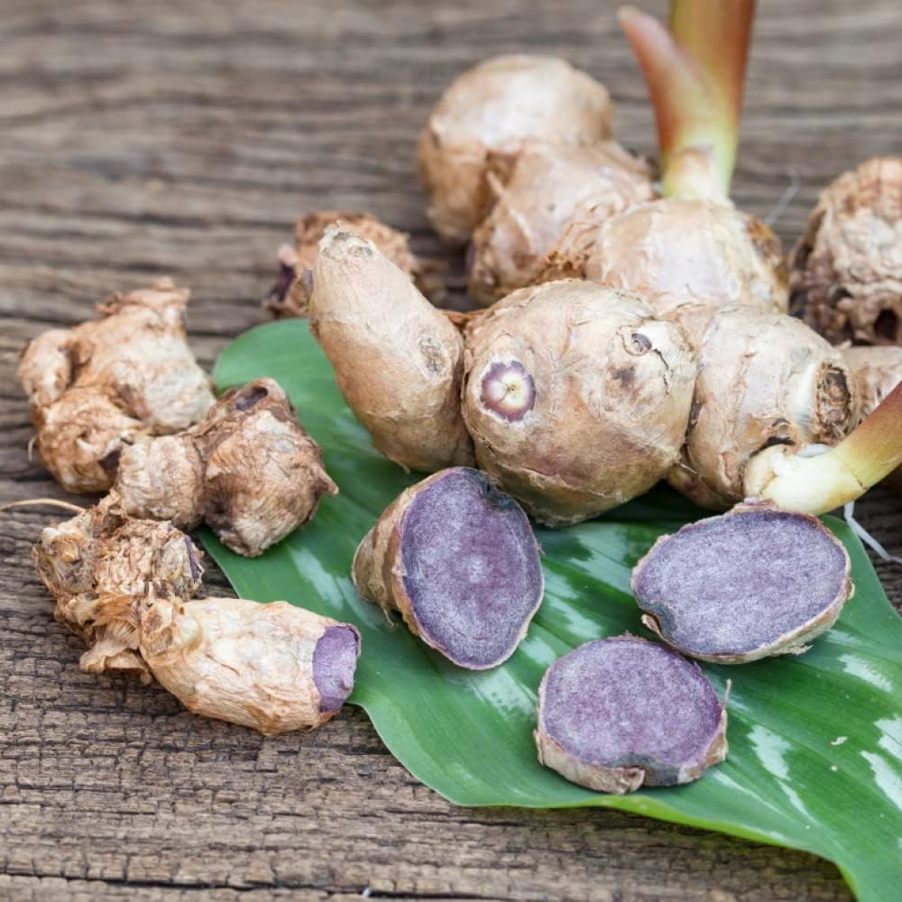 Ujido Black Ginger Matcha Tablets - 180 Tablets of Japanese Matcha Powder with Thai Black Ginger - Antioxidant Superfood with Natural Caffeine